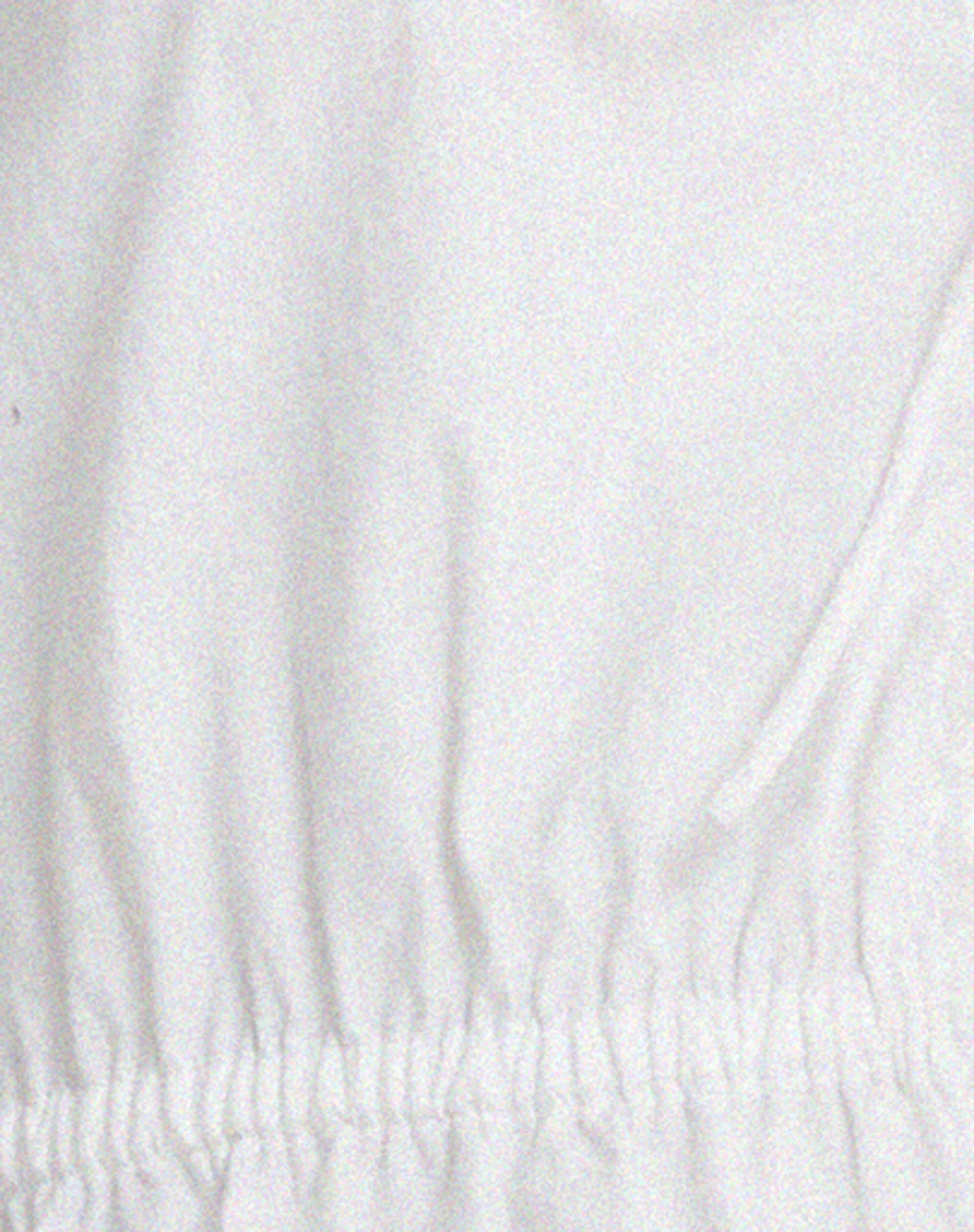 Aley Crop Top in White - Image 5