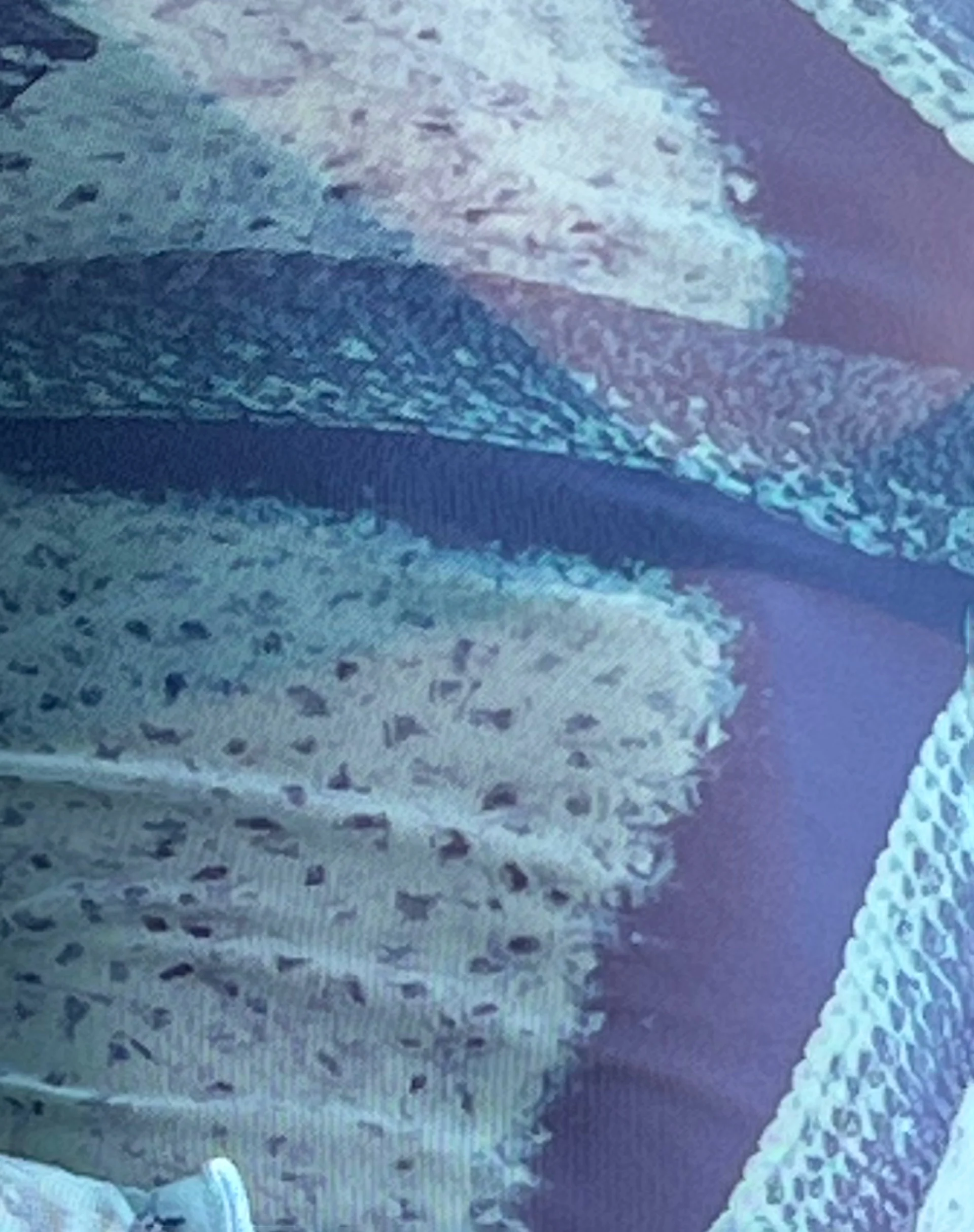Anchi Mesh Long Sleeve Top in Blue Starfish Photoprint - Image 7
