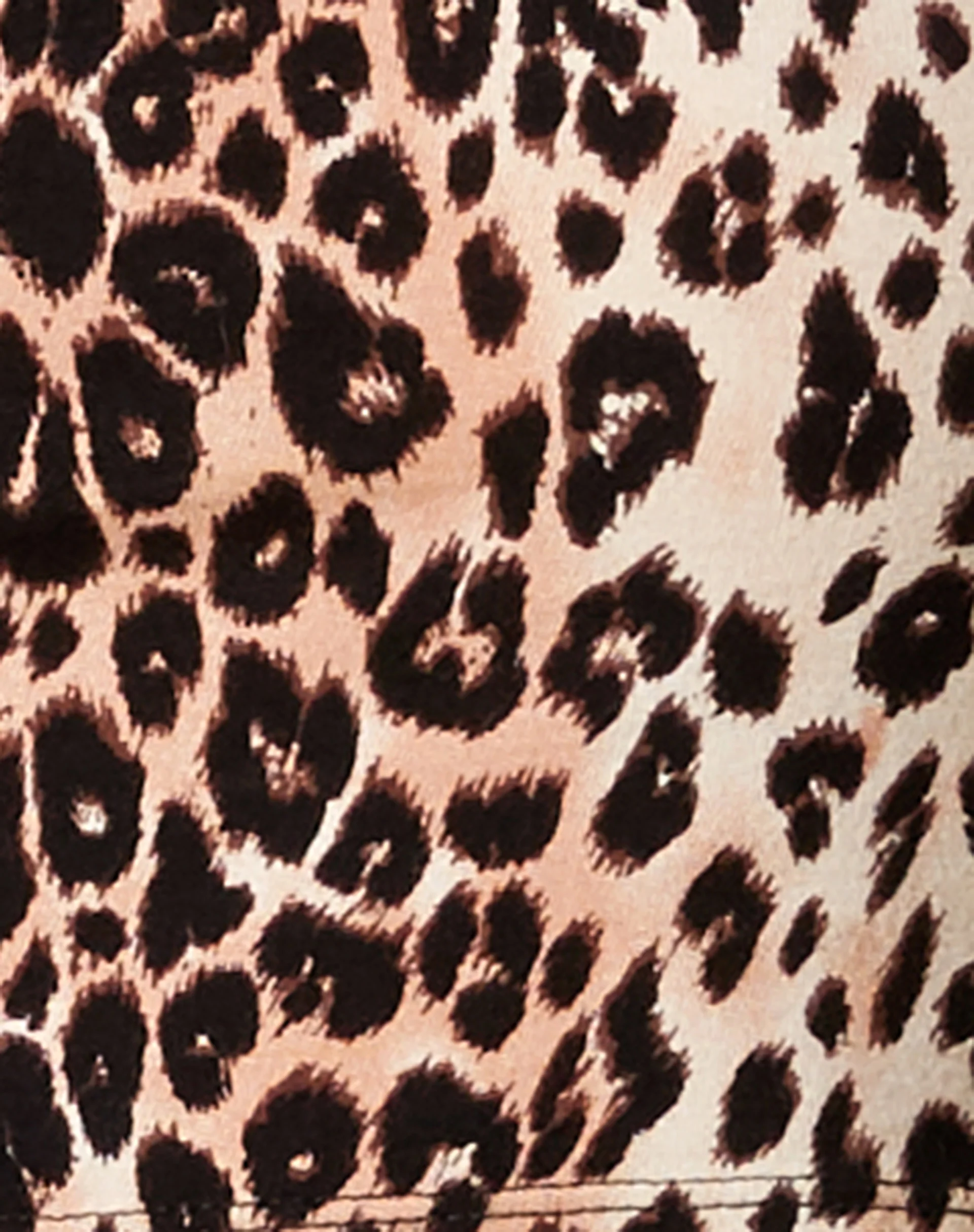 Balba Crop Top in True Leopard - Image 7