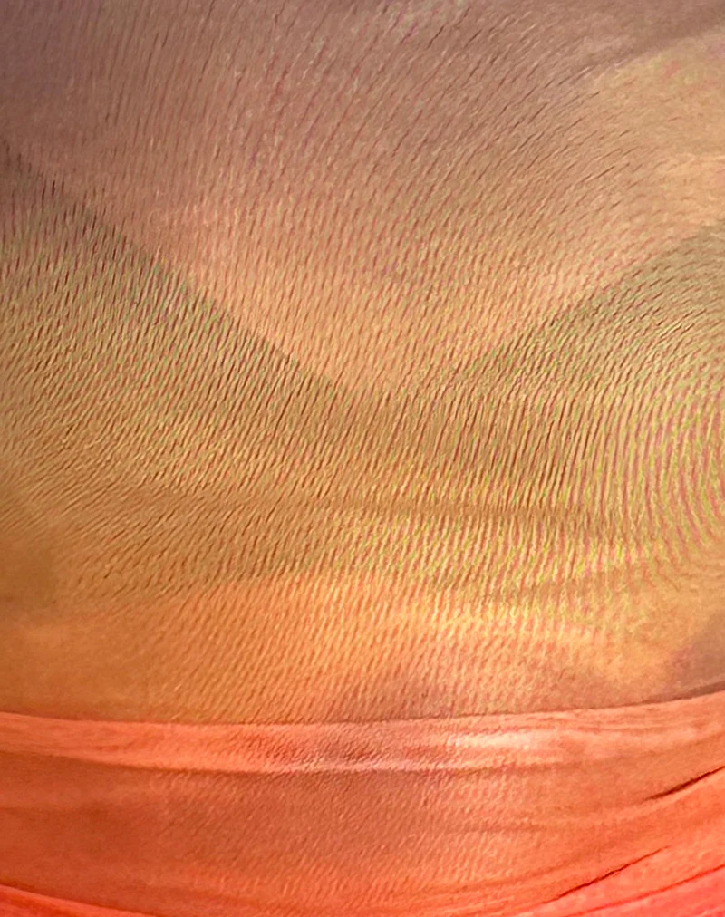 Bastille Top in Mesh Printed Orange Sunset - Image 8