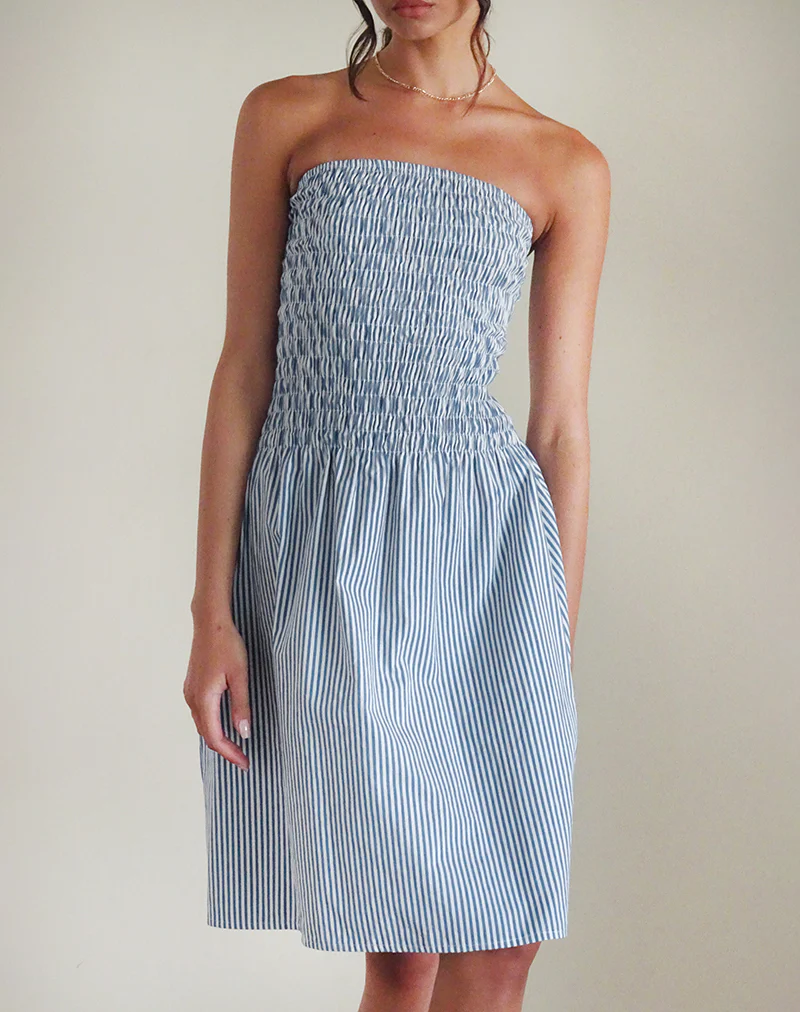 Belesi Midi Dress in Blue Small Vertical Stripe - Image 4