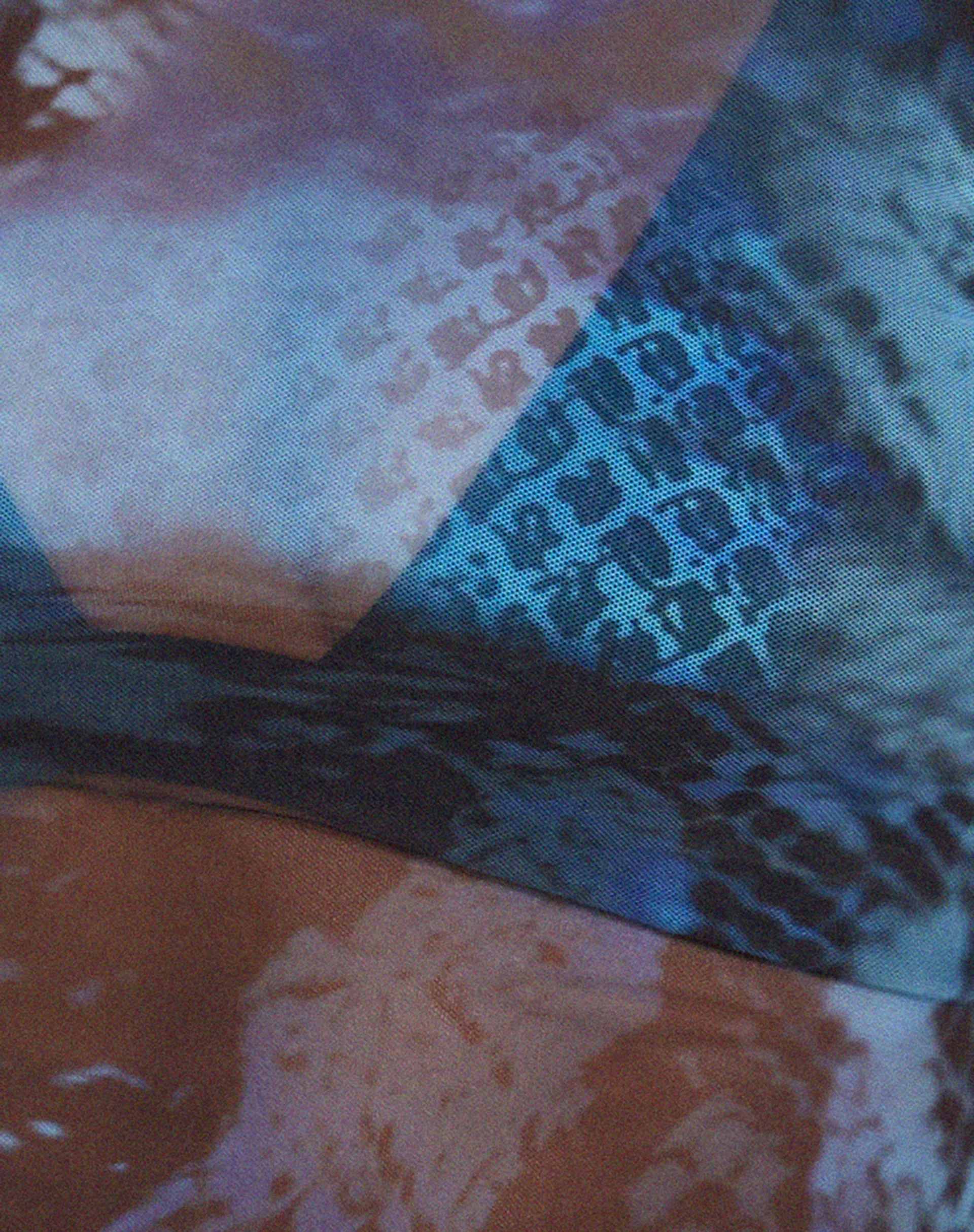 Bonnie Long Sleeve Crop Top in Abstract Blue Serpent Mesh - Image 7