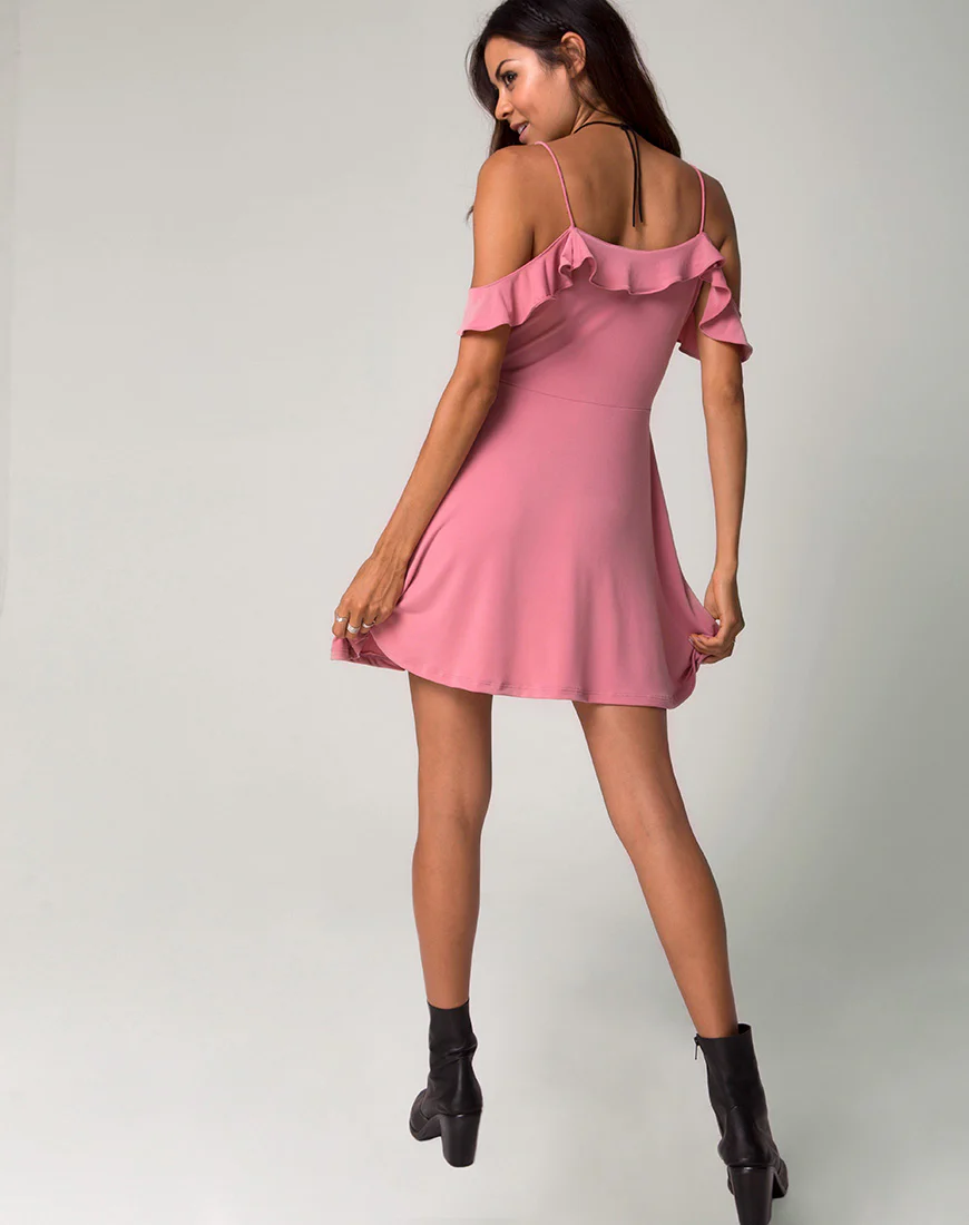 Cannes Skater Dress in Petal - Image 4