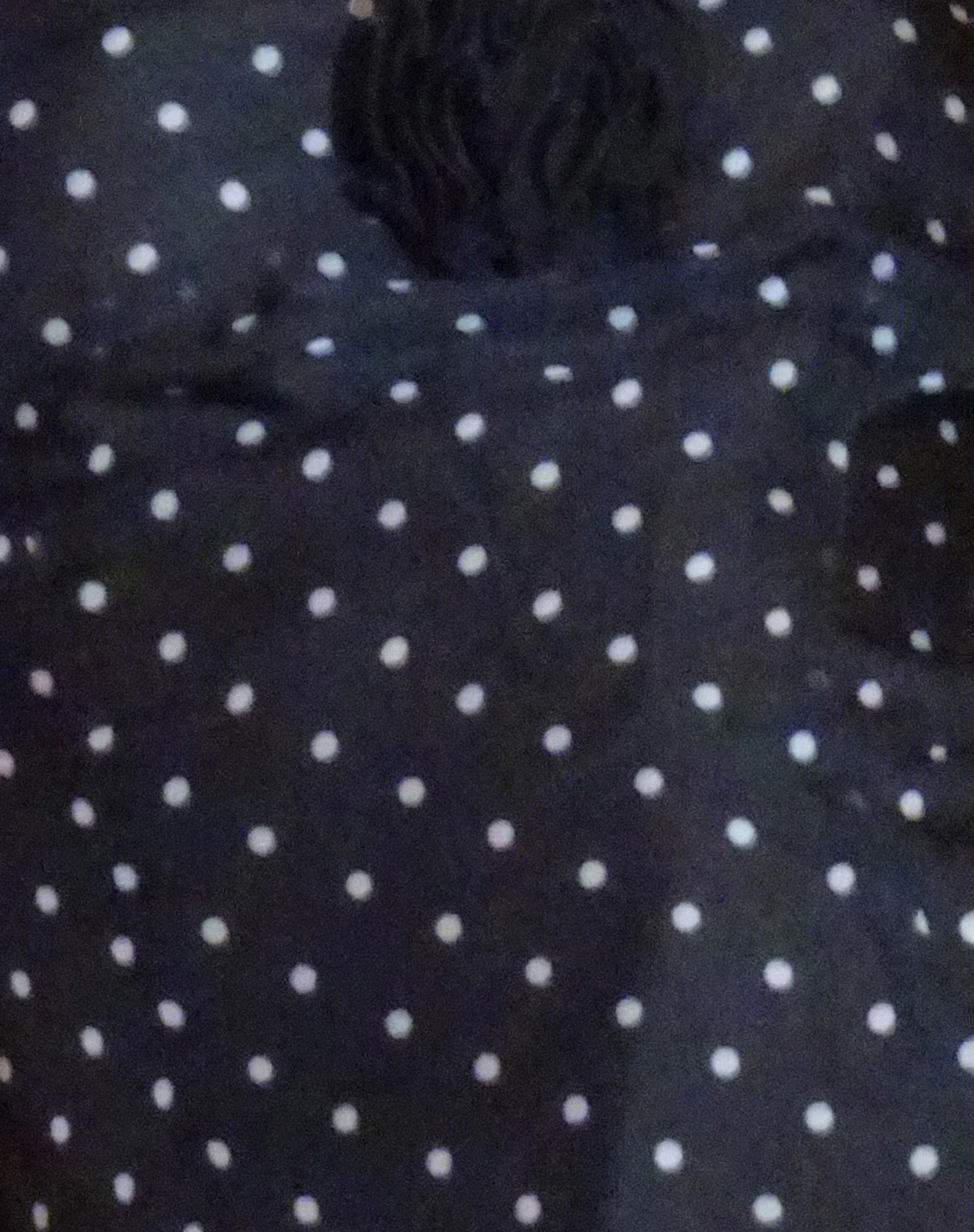 Clara Mini Dress in Polka Black Chiffon - Image 7