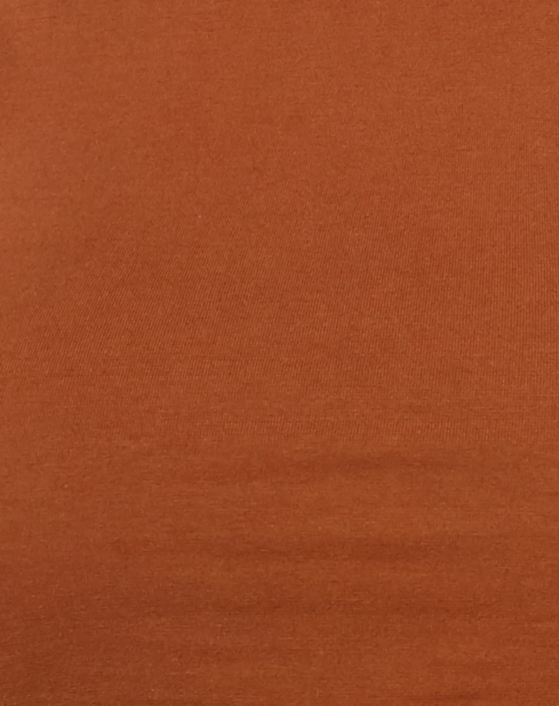 Clias Crop Top in Bombay Brown - Image 5