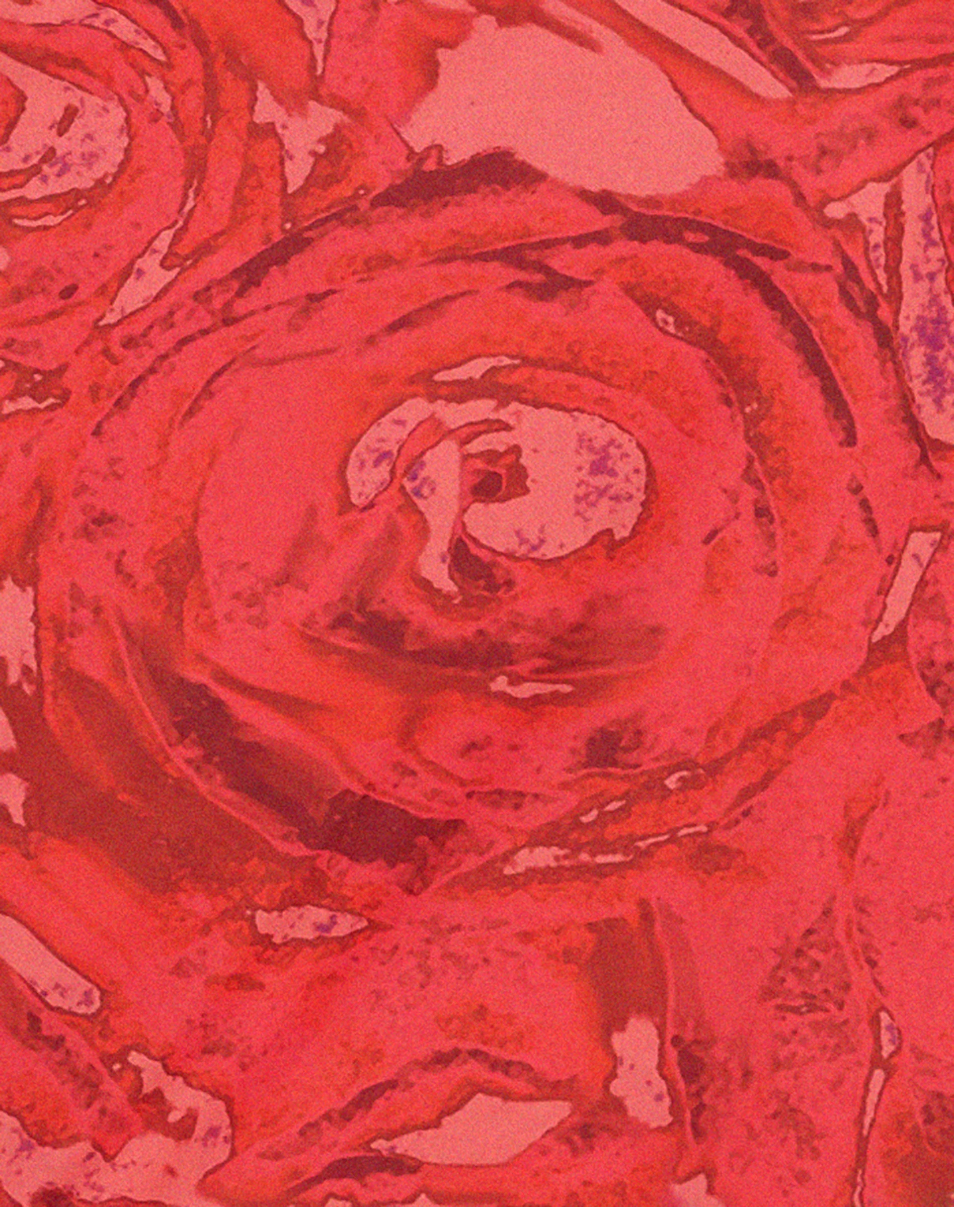 Coya Midi Dress in Rose Petal Red - Image 5