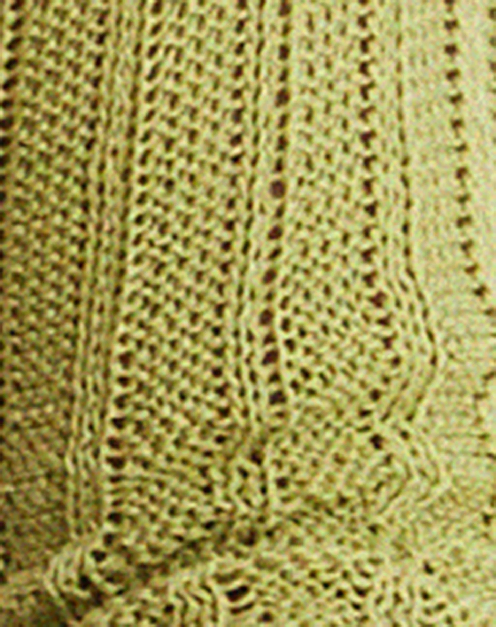 Daedu Shrug Top in Lime - Image 6