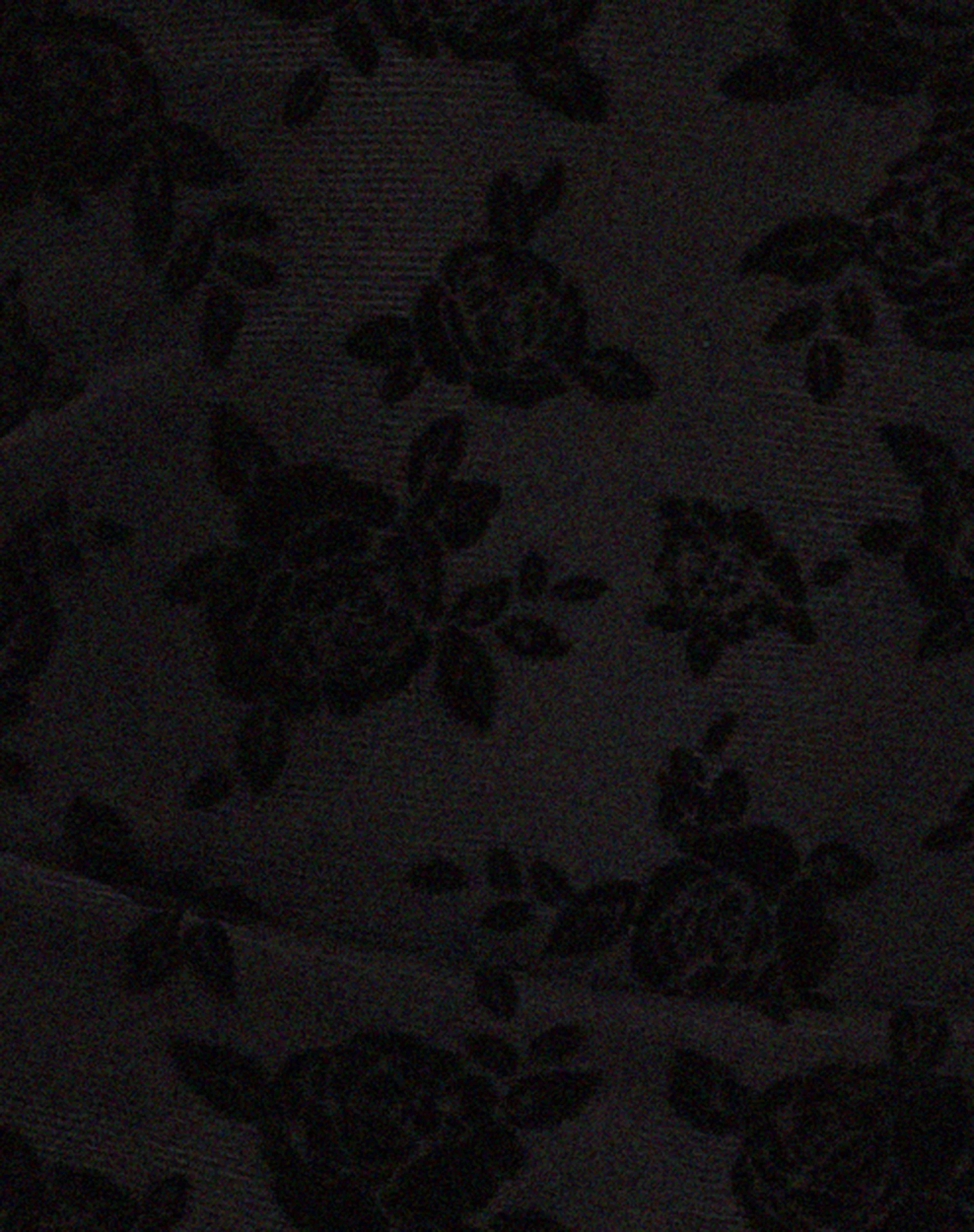 Damara Crop Top in Mesh Black Romantic Rose Flock - Image 5