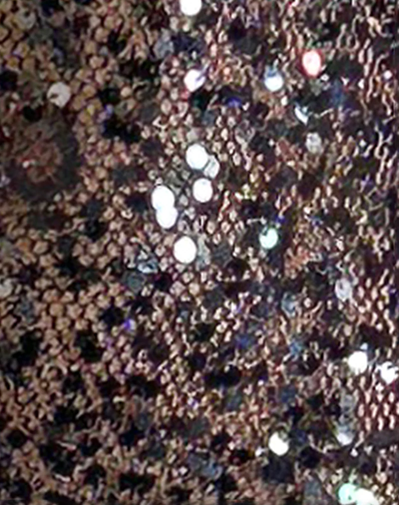 Darsih Maxi Dress in Sequin Mesh Black - Image 7