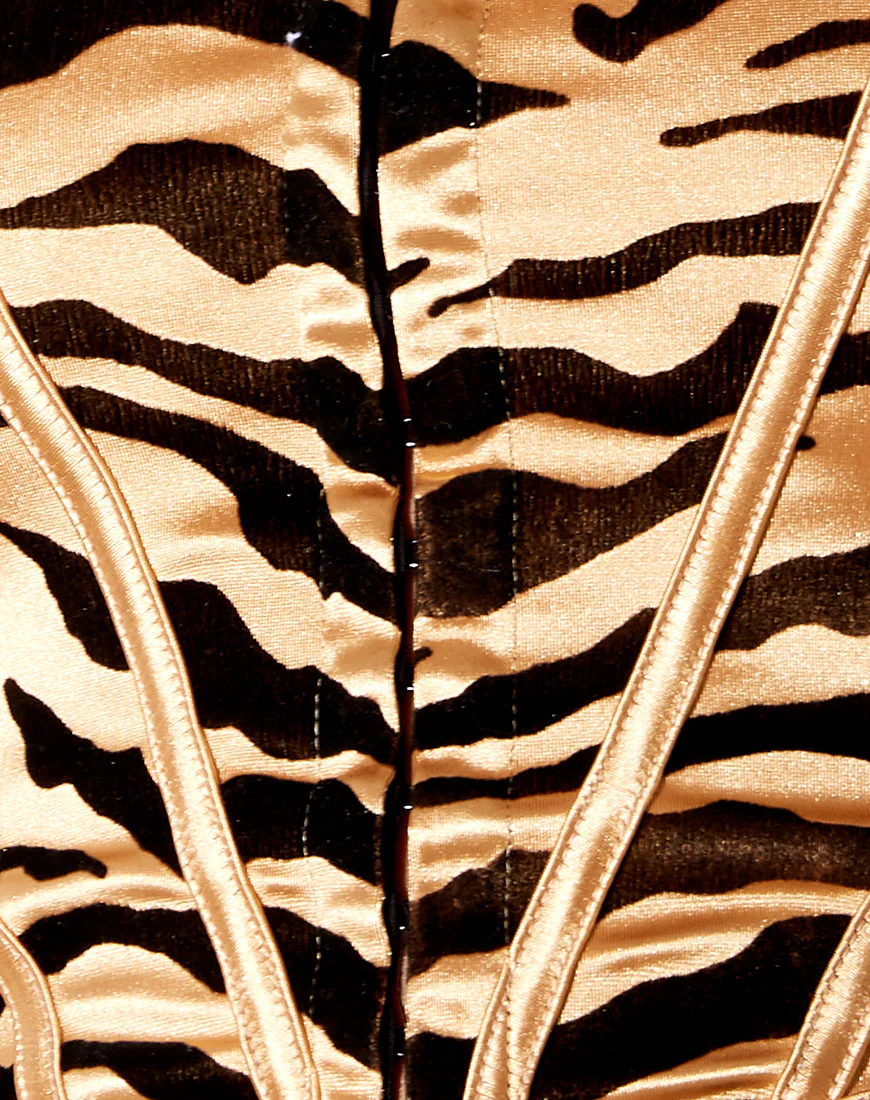 Elci Corset Top in Tiger Gold - Image 6