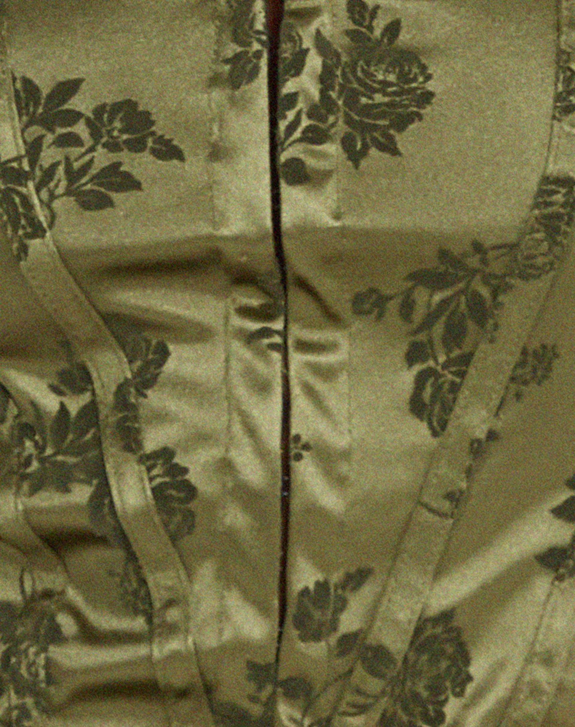 Elciva Corset Top in Rose Flock Loden Green - Image 6