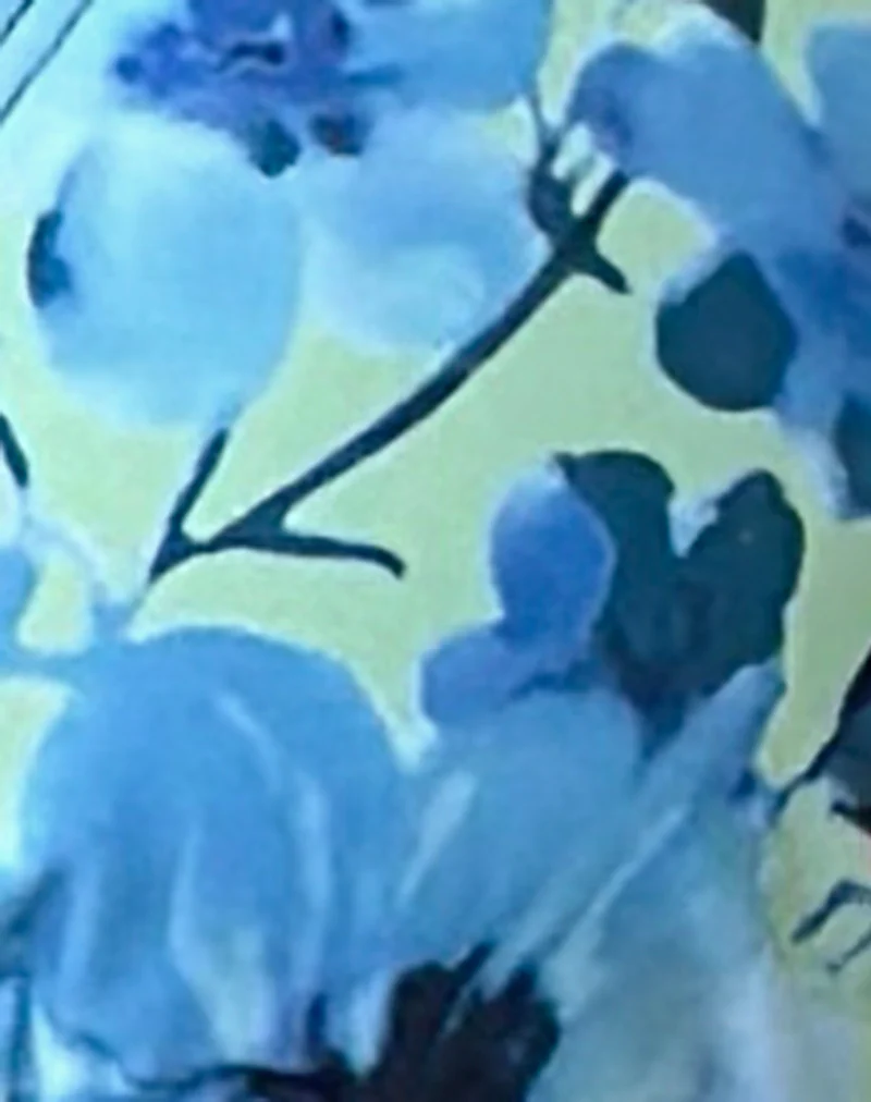 Farida Bikini Bottom in Blue Flower - Image 8