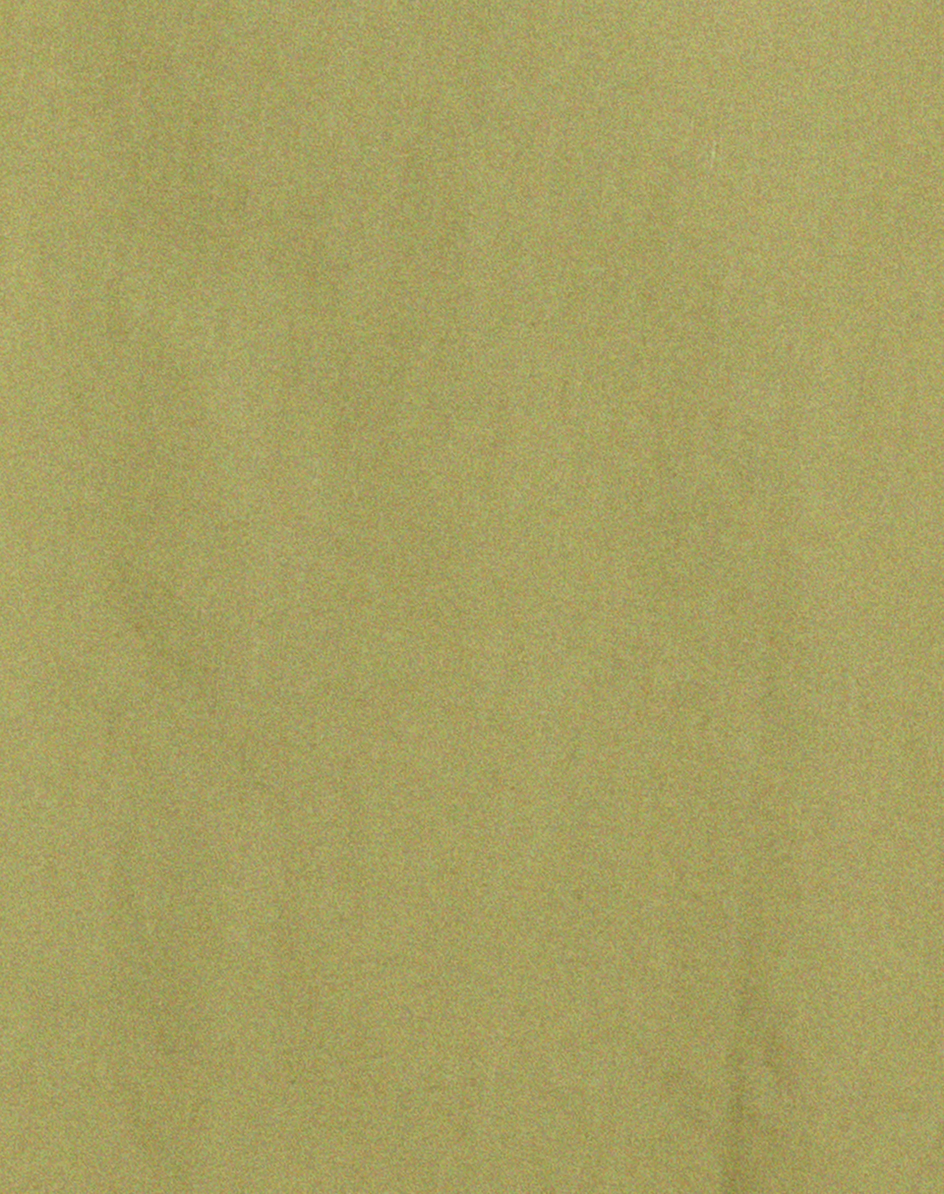 Gane Shirt in Seafoam Green - Image 5
