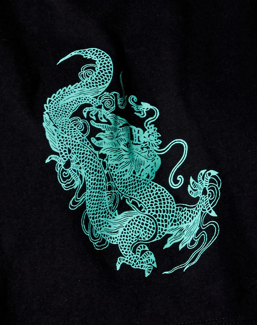 Georgi Cropped Tee in Black and Mint Dragon Placement - Image 5