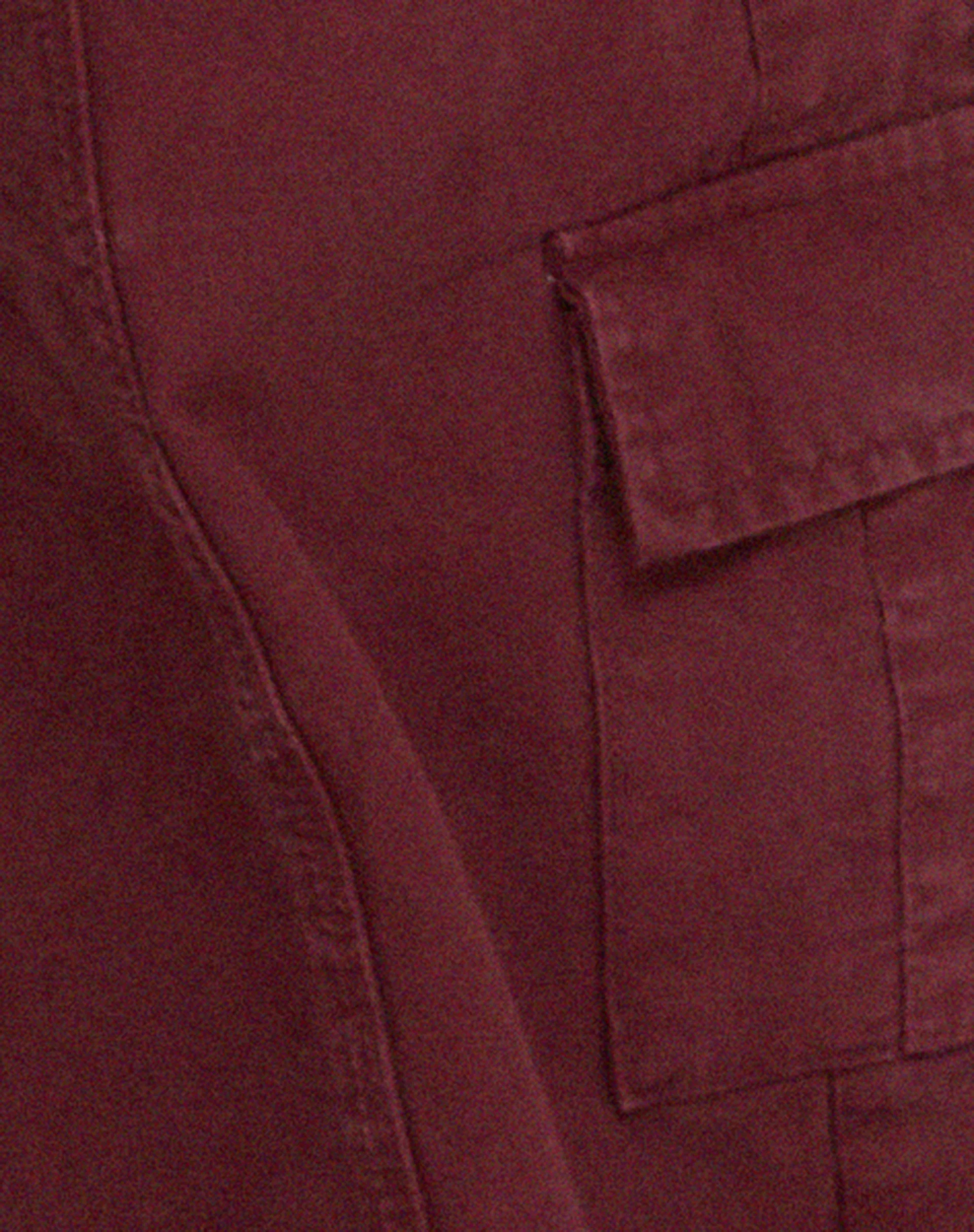 Hansa Cargo Trouser in Burgundy - Image 6
