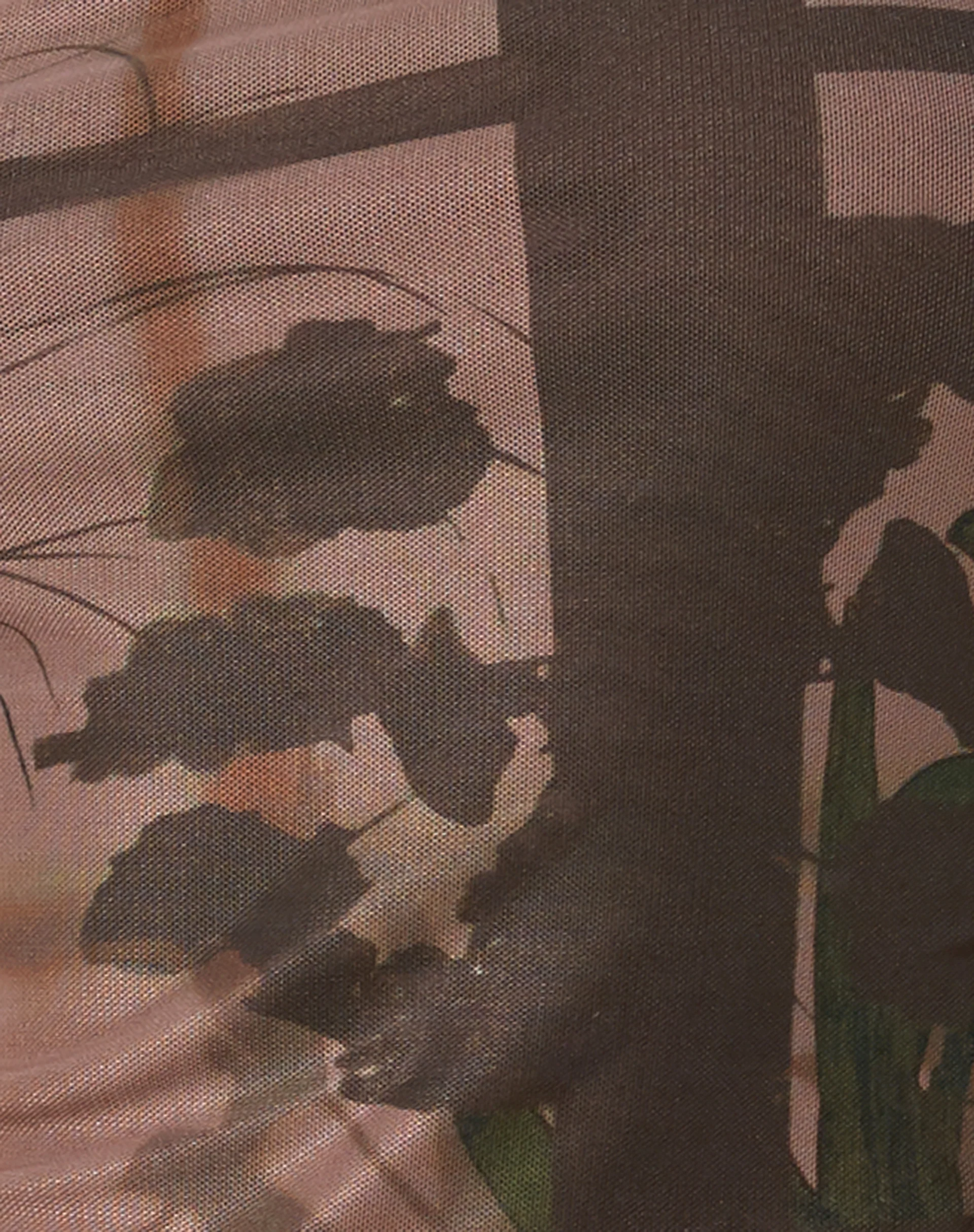 Iggy Crop Top in Photo Brown - Image 6