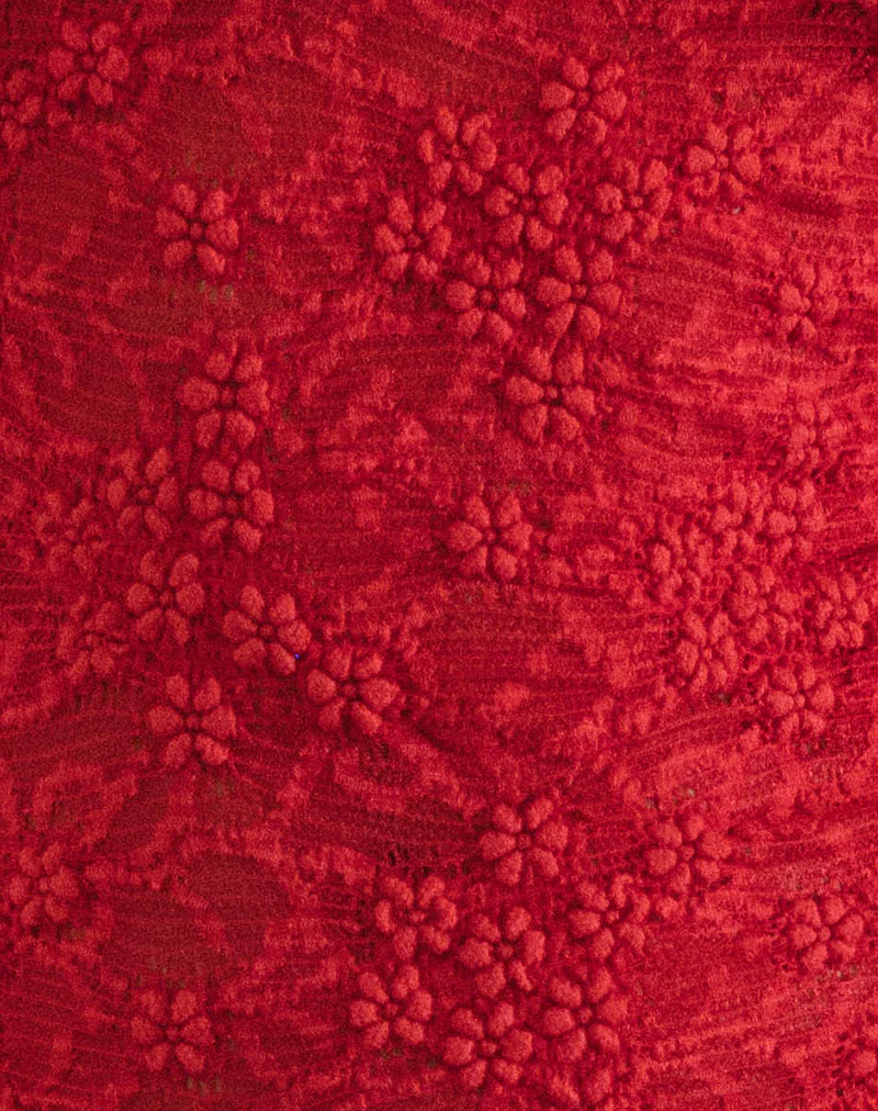Ismene Mini Dress in Unlined Lace Red - Image 5