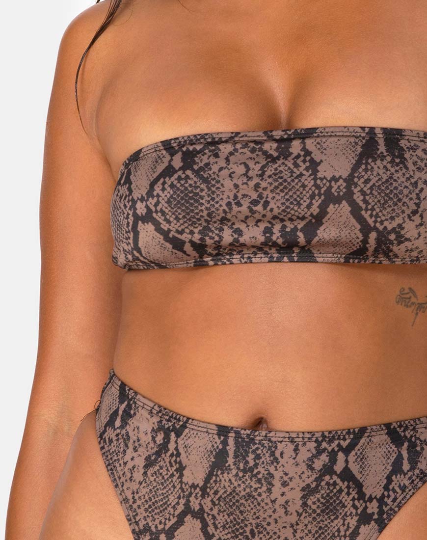 Izarla Bikini Bottom in Snake Taupe - Image 5