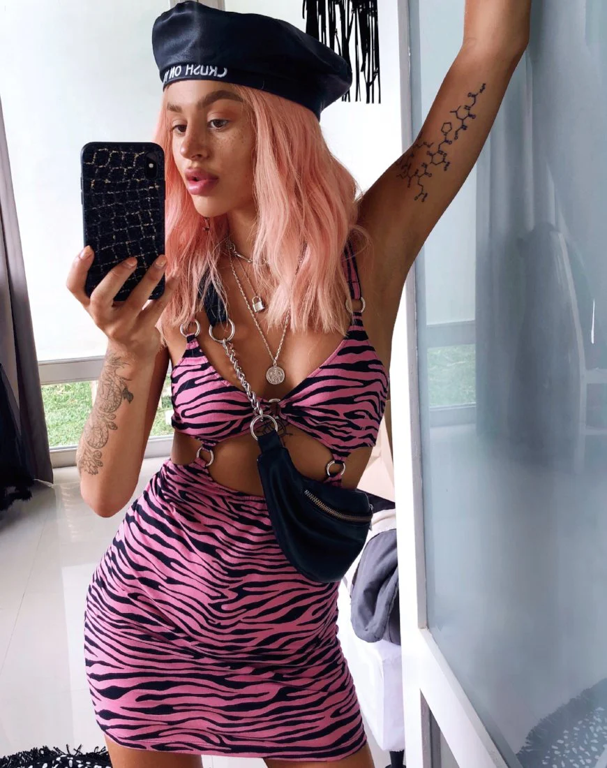 Jezabel Dress in Zip's Zebra Pink - Image 5