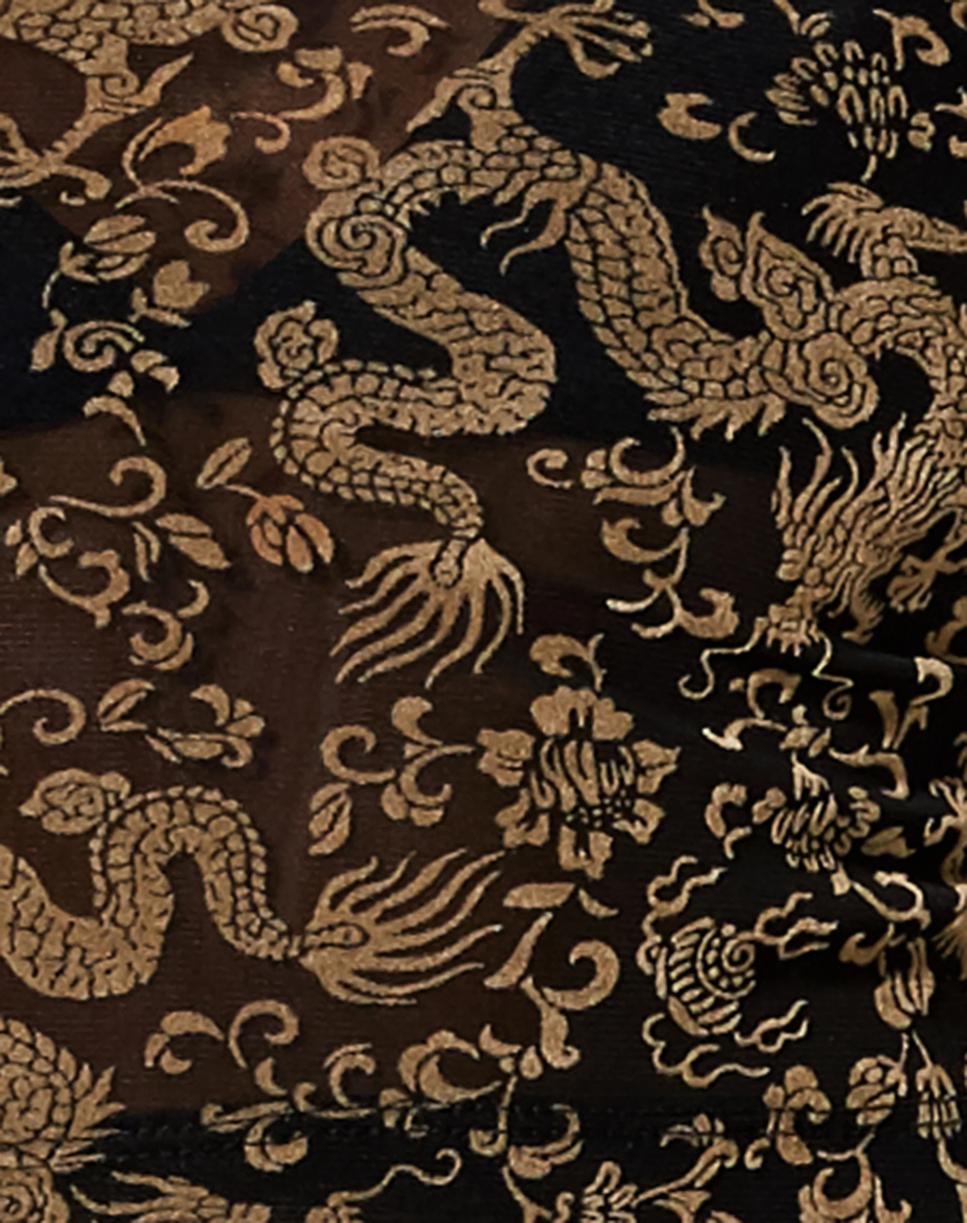 Jilsa Long Sleeve Top in Black Mesh Tan Dragon Flock - Image 5