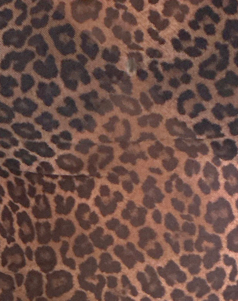 Jiraya Top in Mesh Printed Rar Leopard - Image 6