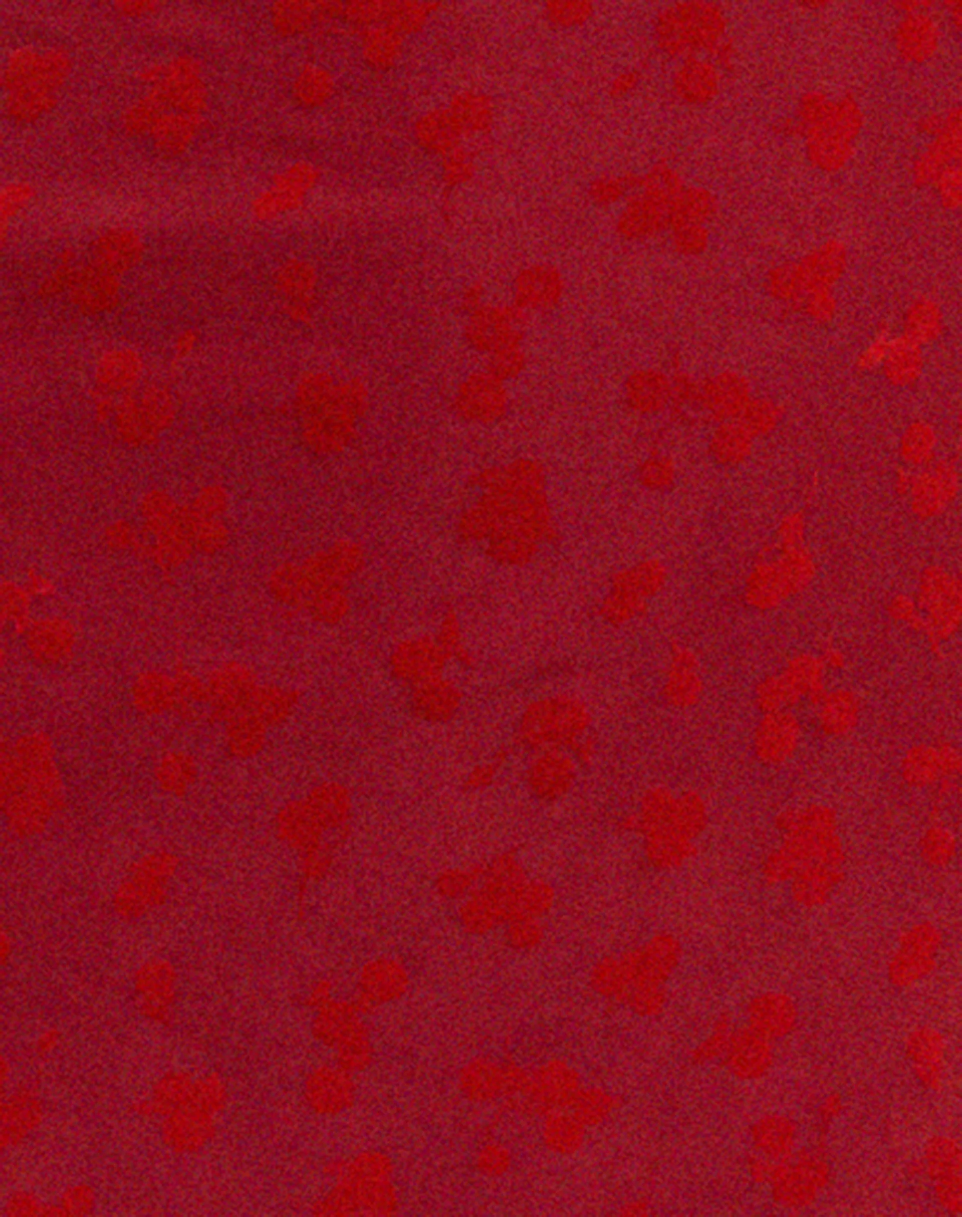 Kalana Midi Dress in Red Flock Mesh - Image 5