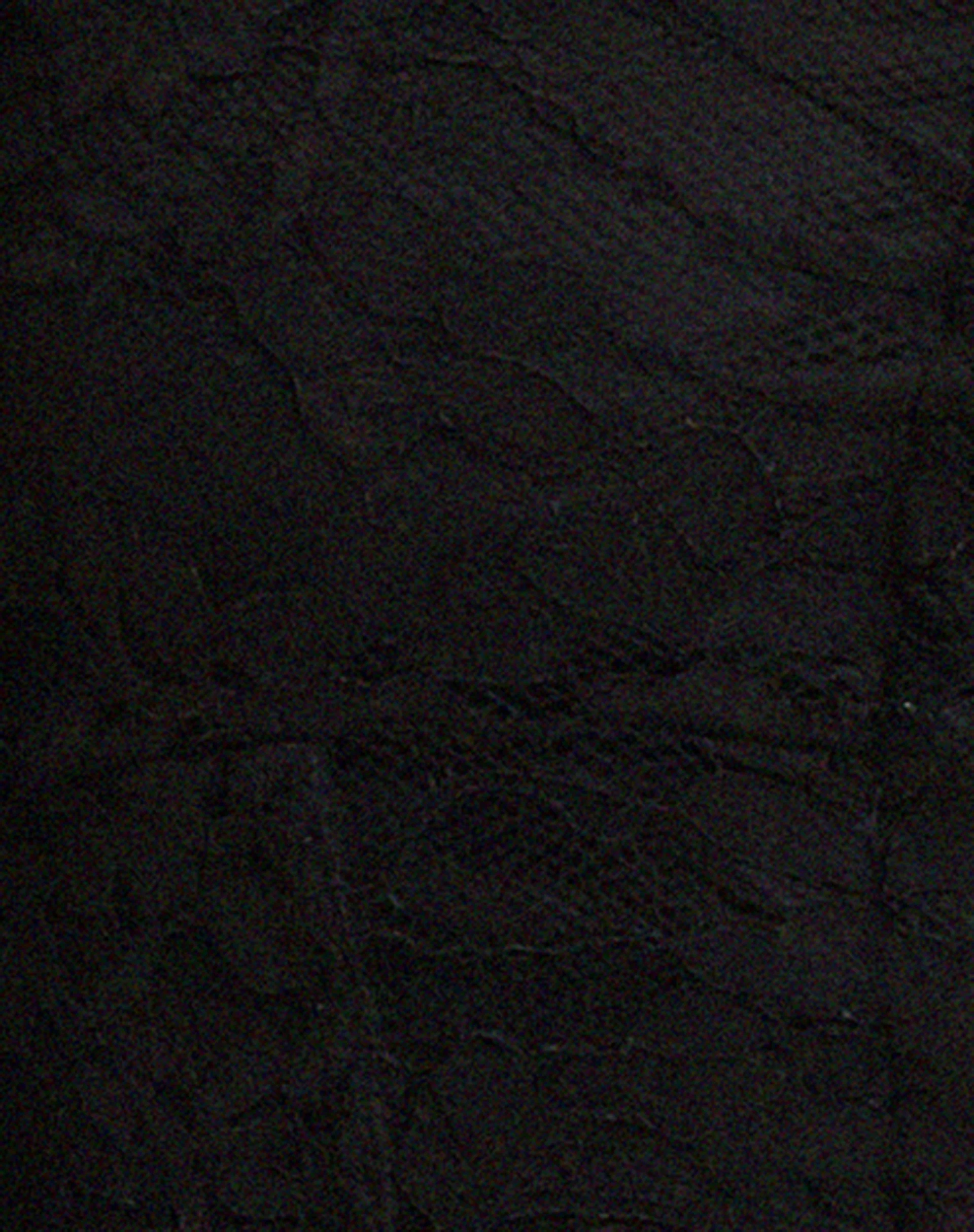 Khafila Long Sleeve Corset  Top in Lace Black - Image 8