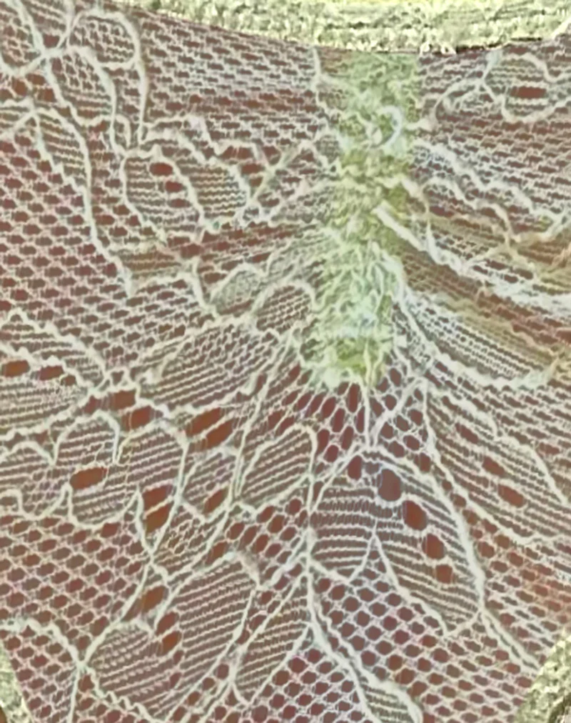 Kukila Brazilian Knicker in Lace Pastel Green - Image 7