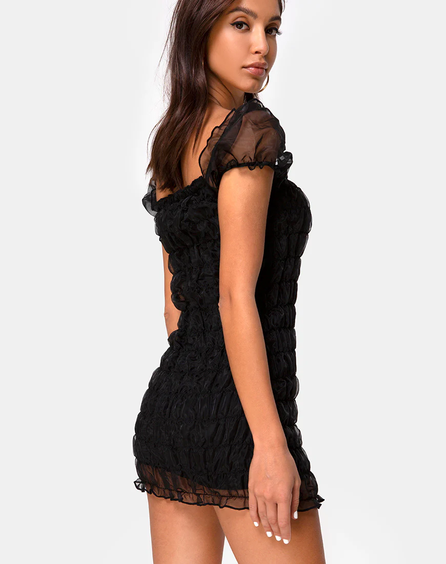 Lenira Dress in Black Organza - Image 2