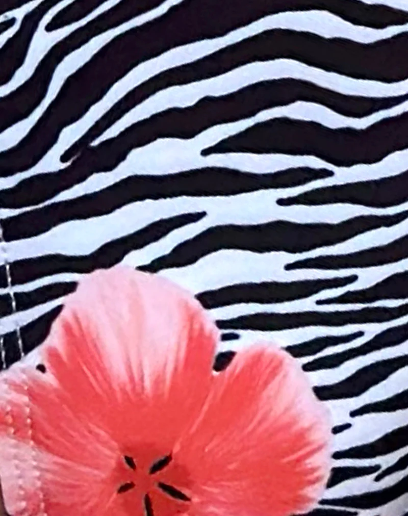 Lentra Bikini Bottom in Floral Zebra - Image 6