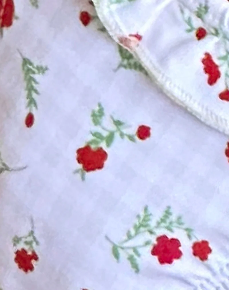 Lentra Bikini Bottom in Red Floral Beige Gingham with Ruffle - Image 8