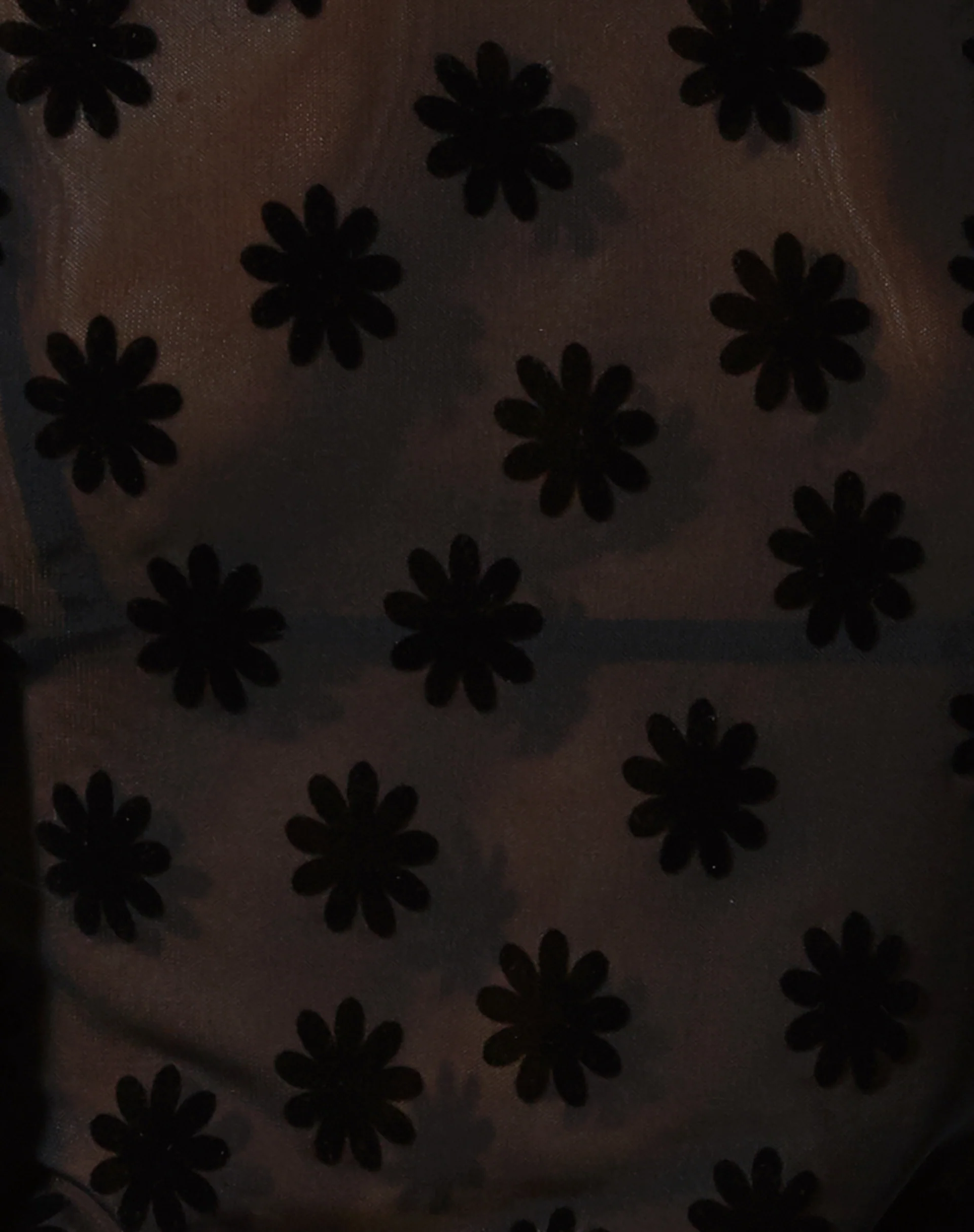 Leon Cardi in Daisy Flock Black - Image 5