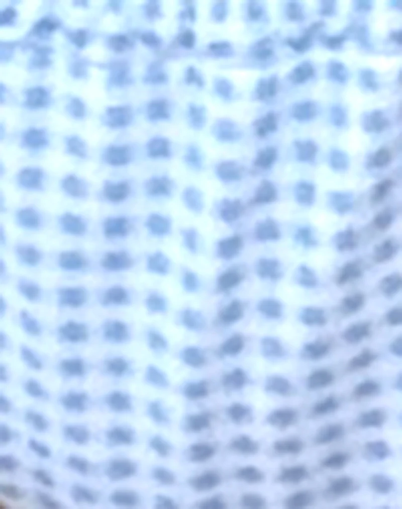 Leyna Bikini Bottom in Blue Gingham - Image 5