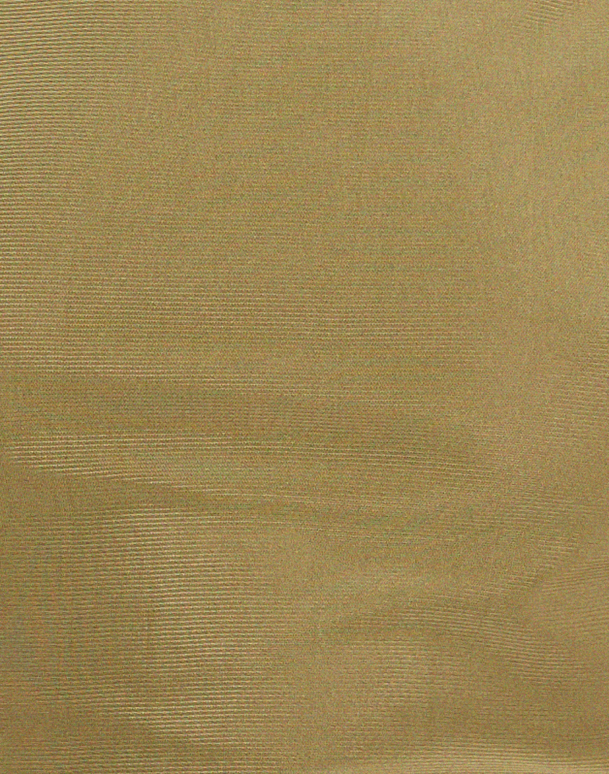 Mahira Long Sleeve Mesh Top in Olive - Image 6