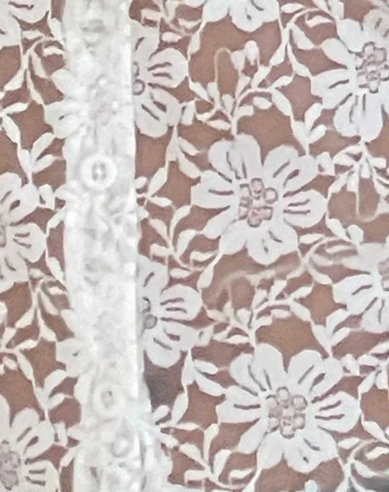 Mirah Lace Top in White - Image 6