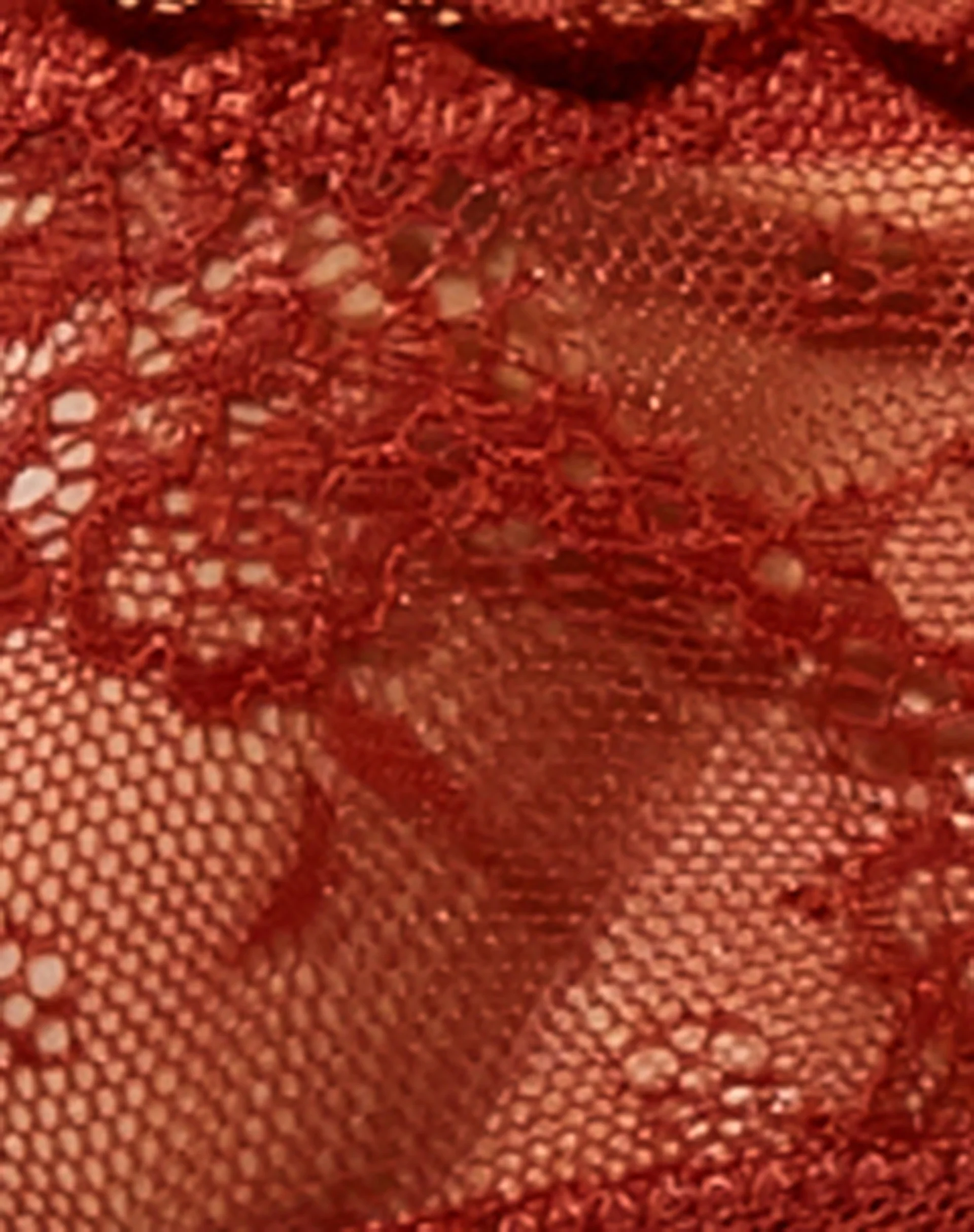 Molly Lace Bralette in Picante - Image 9