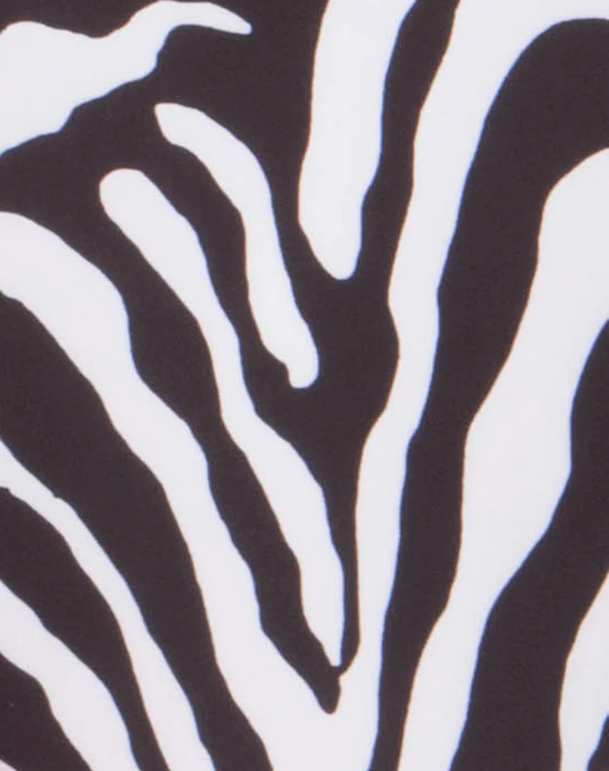 Monique Plunge Swimsuit in Zebra - Image 4