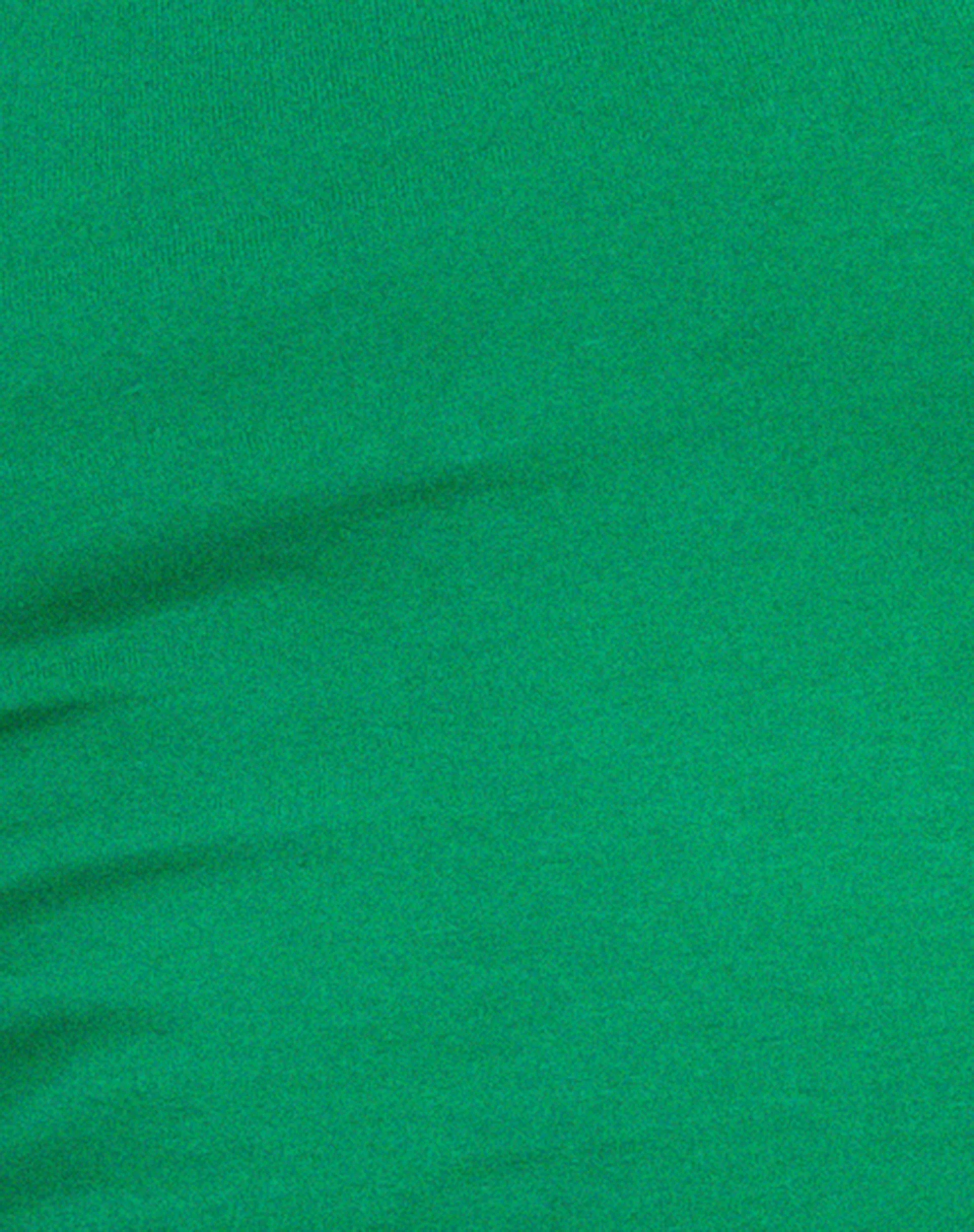 Monlo Top in Bush Green - Image 5