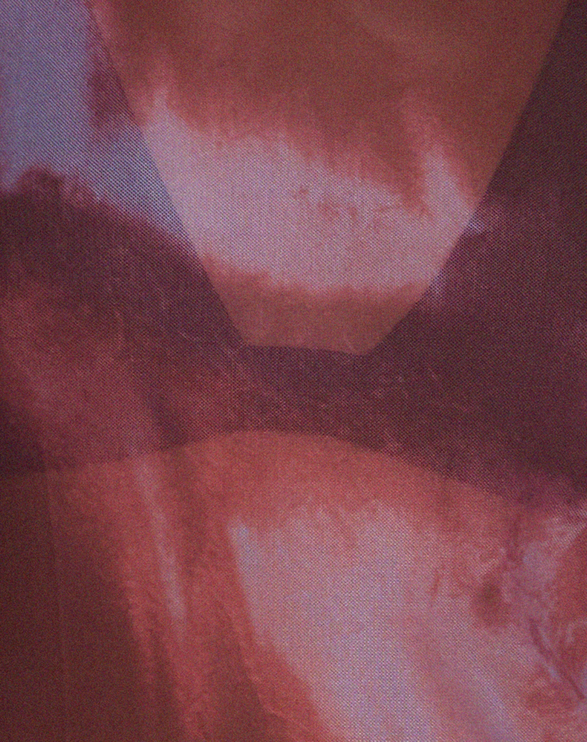 Monlo Vest Top in Mesh Watercolour Wine - Image 8