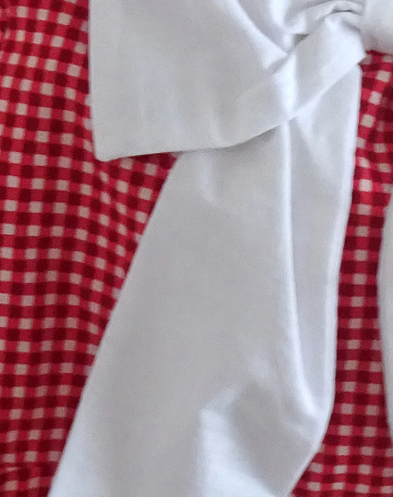 Nagi Bag in Red Gingham with White Bow - Image 4