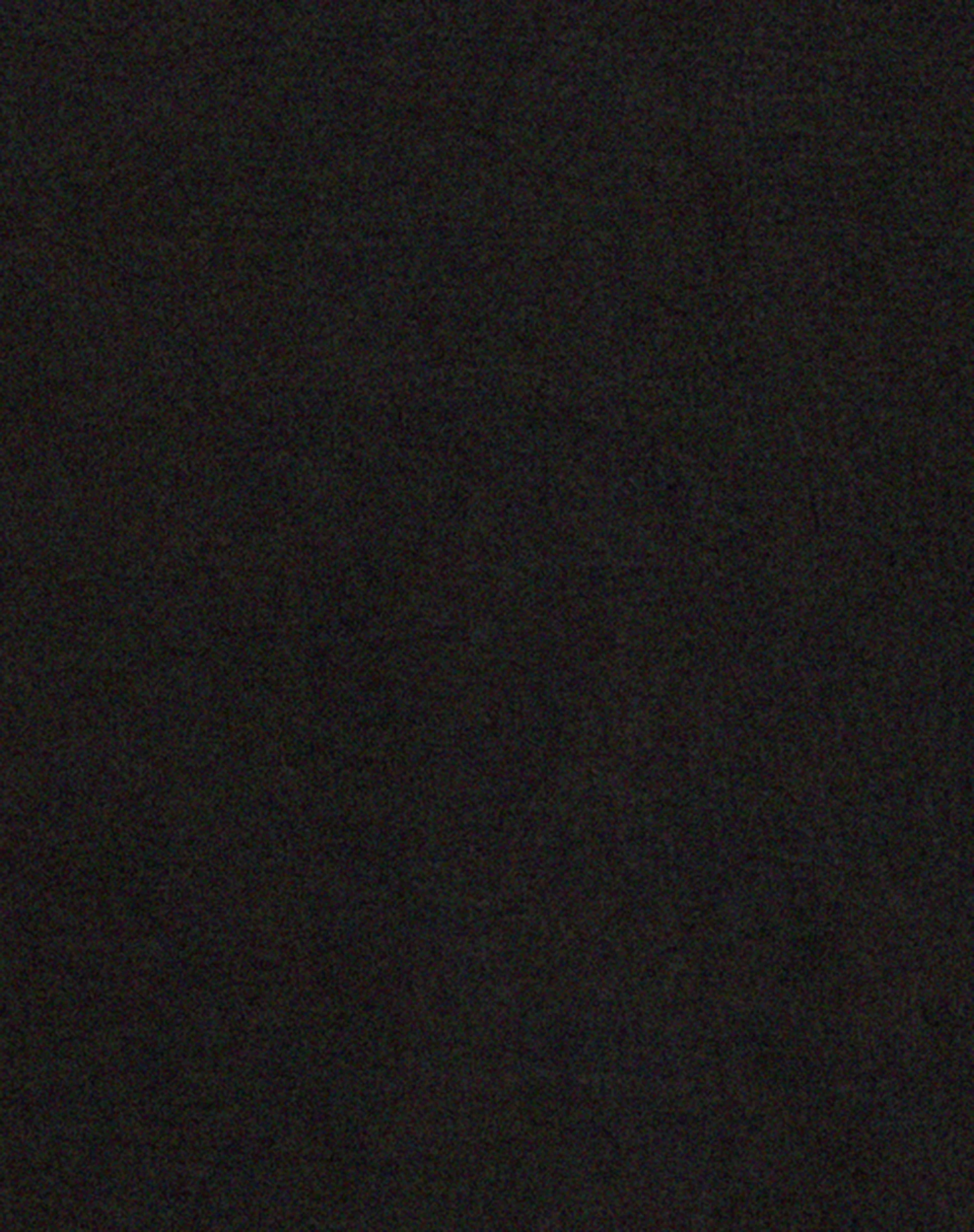 Tulus Low Rise Maxi Skirt in Black - Image 6