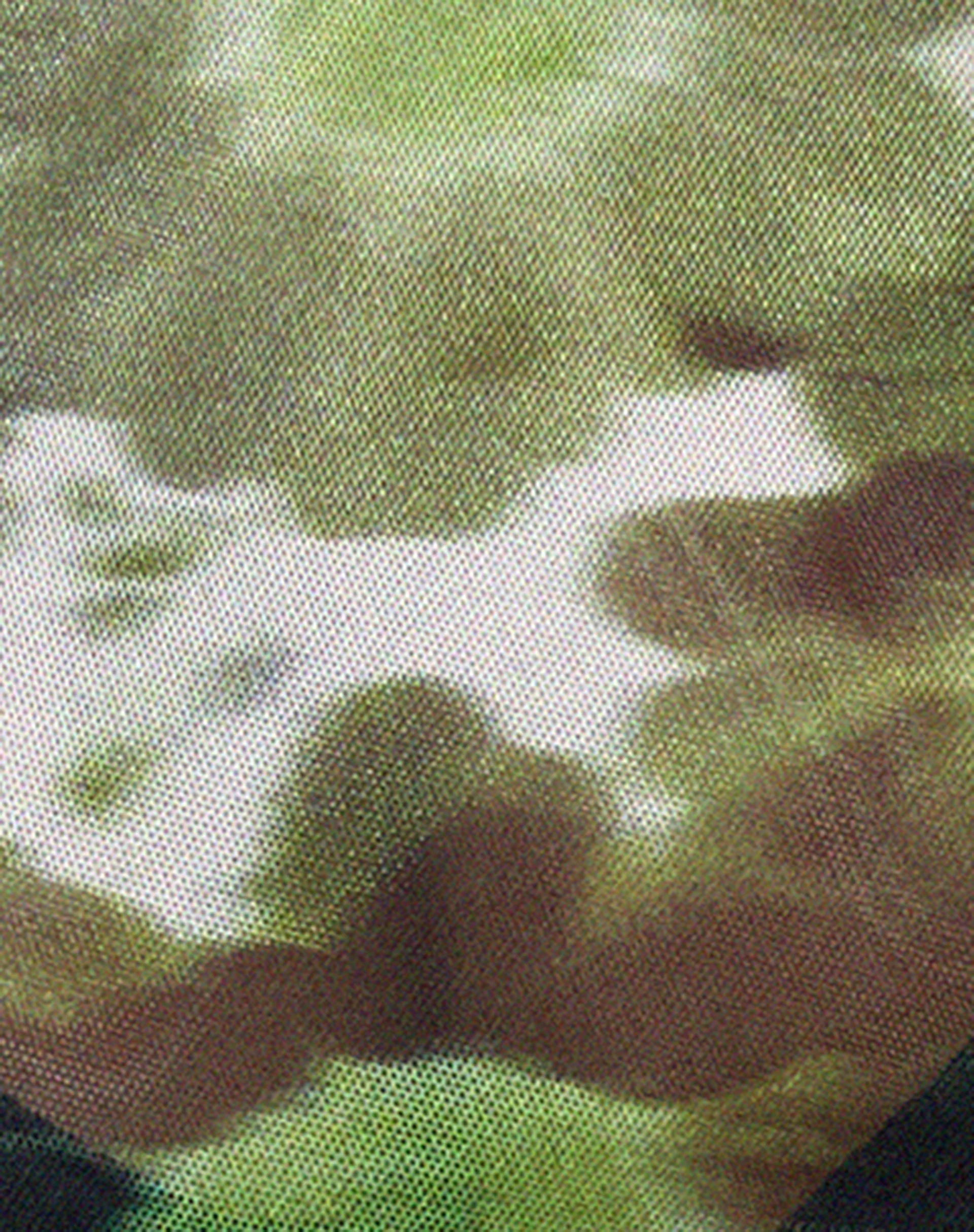Nilan Crop Top in Xray Blurred Daisy Green - Image 6