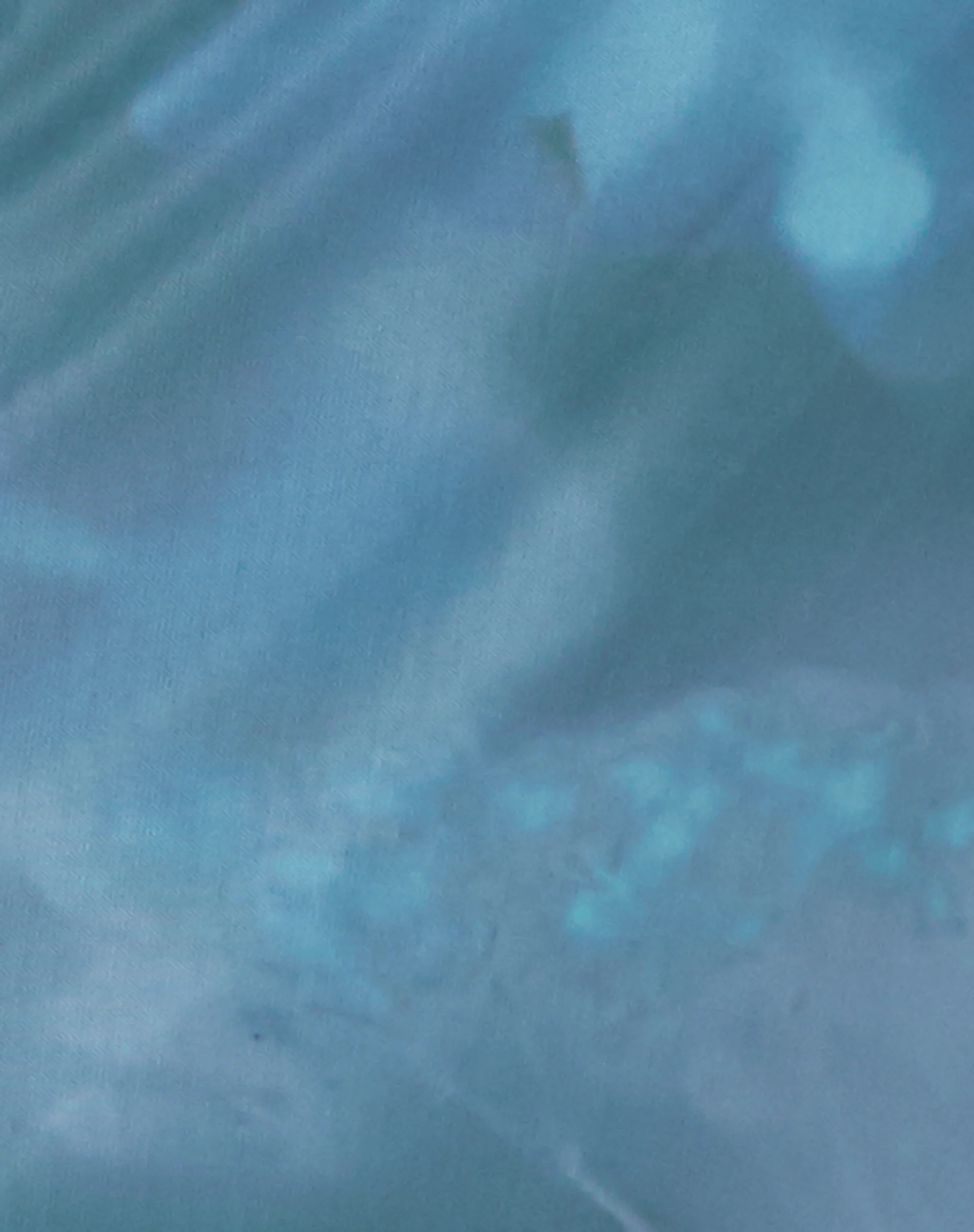 Nola Maxi Skirt in Lumen Floral Blue - Image 5