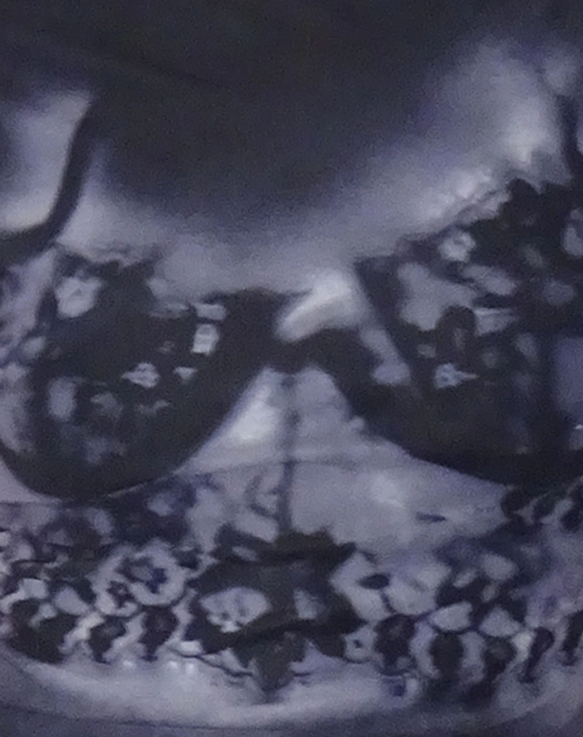 Nova Top with Lace Scan Motif in Black - Image 5