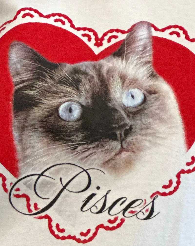 Oversized Basic Tee in White with Pisces Motel Pet - Image 6