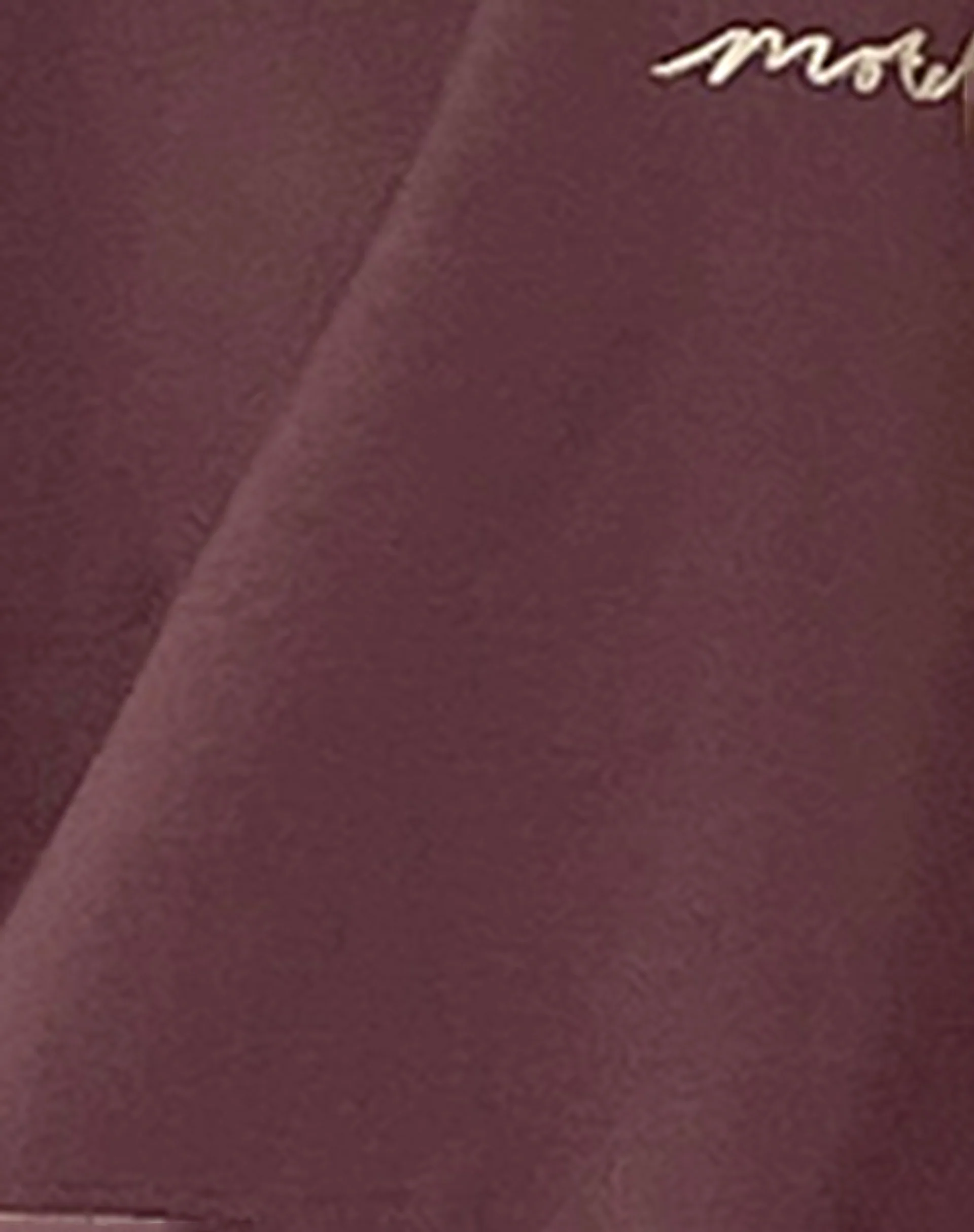 Oversize Hoodie in Deep Mahogany with Motel Scribble Embroidery - Image 6