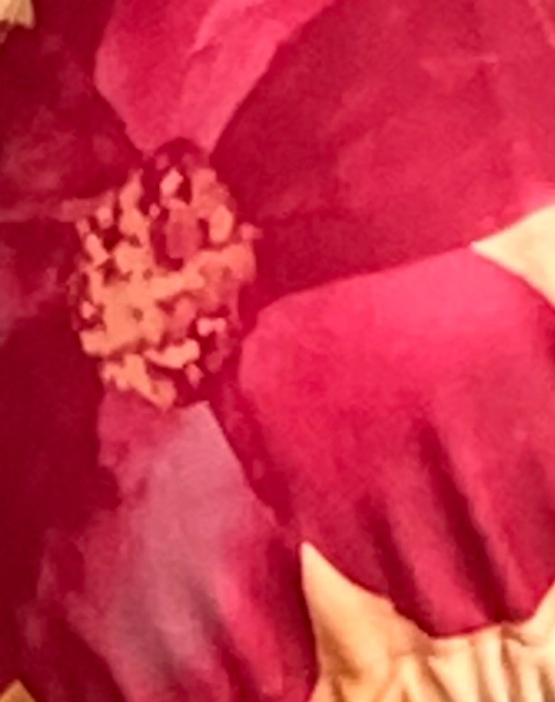 Pami Bikini Top in Orange Flower - Image 8