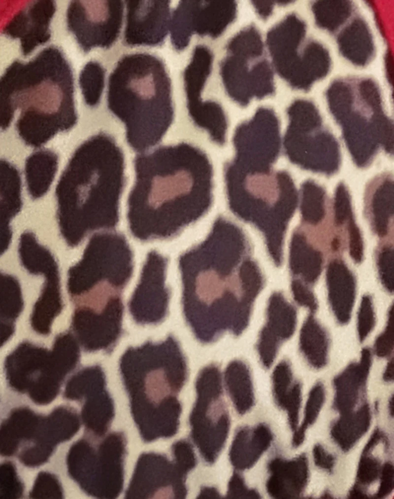 Pami Bikini Top in Rar Leopard with Contrast Ties - Image 7