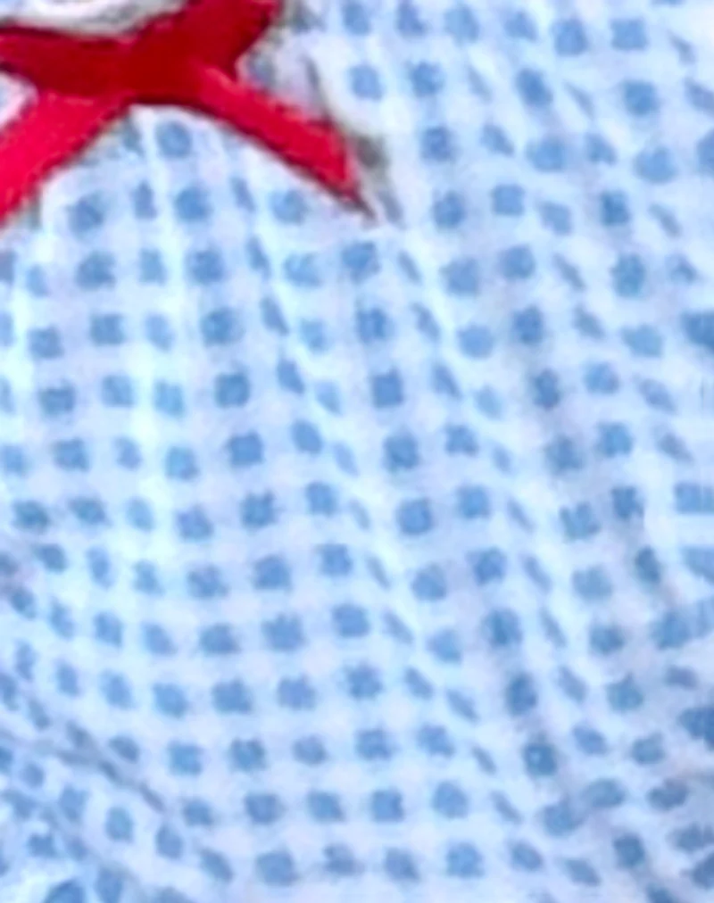 Pumyla Bikini Top in Blue Gingham with Bows - Image 5