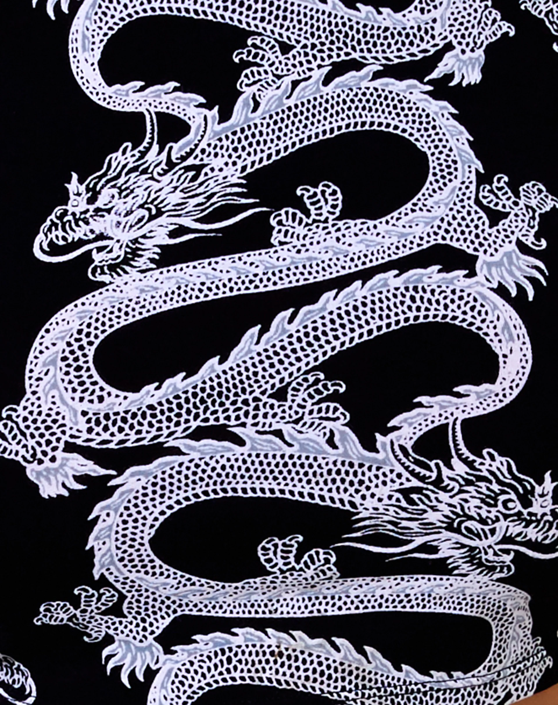 Quera Crop Top in Dragon Rope Black Placement - Image 8